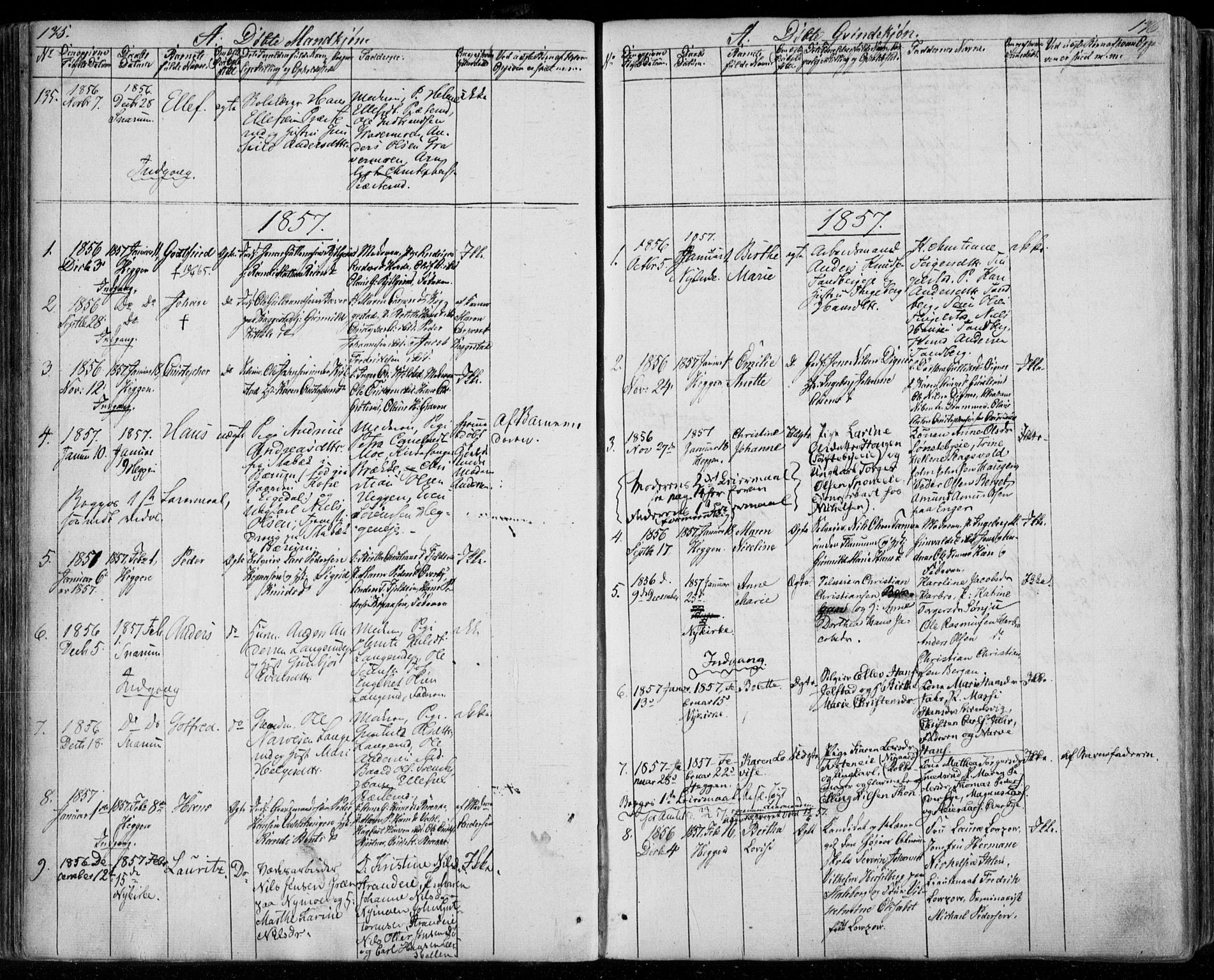 Modum kirkebøker, SAKO/A-234/F/Fa/L0008: Parish register (official) no. 8, 1851-1859, p. 175-176