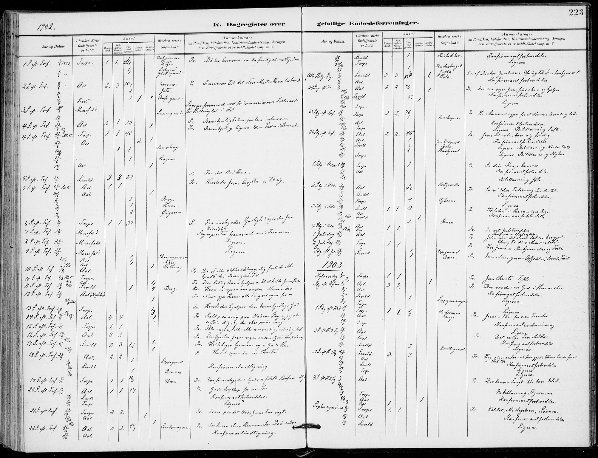 Ål kirkebøker, SAKO/A-249/F/Fa/L0009: Parish register (official) no. I 9, 1897-1915, p. 223