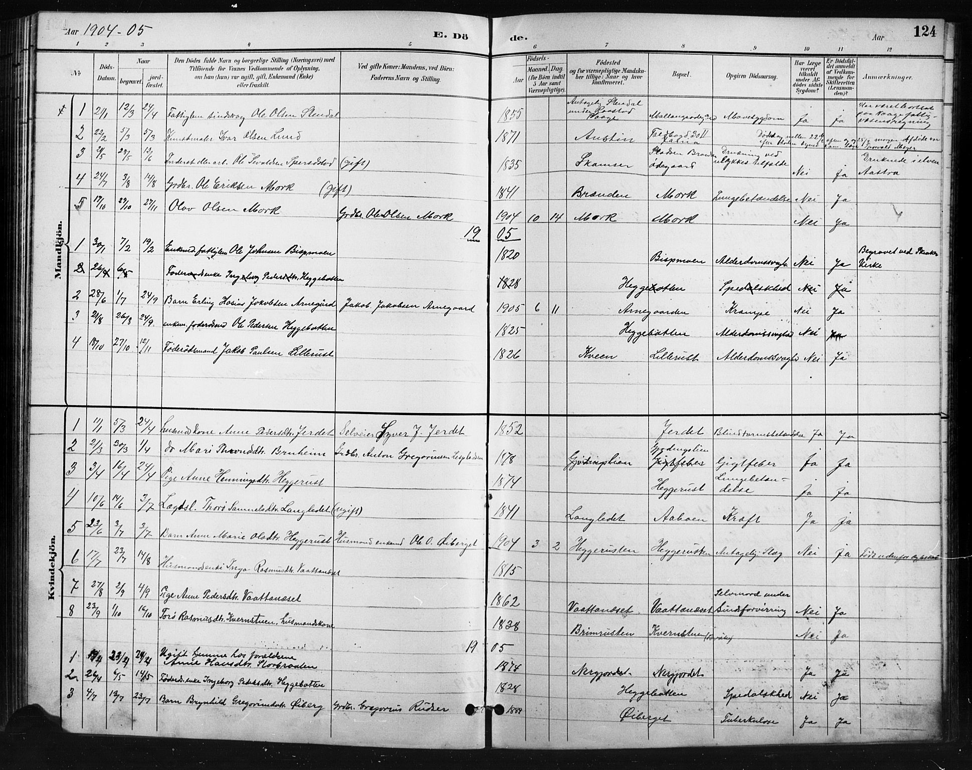 Skjåk prestekontor, SAH/PREST-072/H/Ha/Hab/L0004: Parish register (copy) no. 4, 1895-1921, p. 124