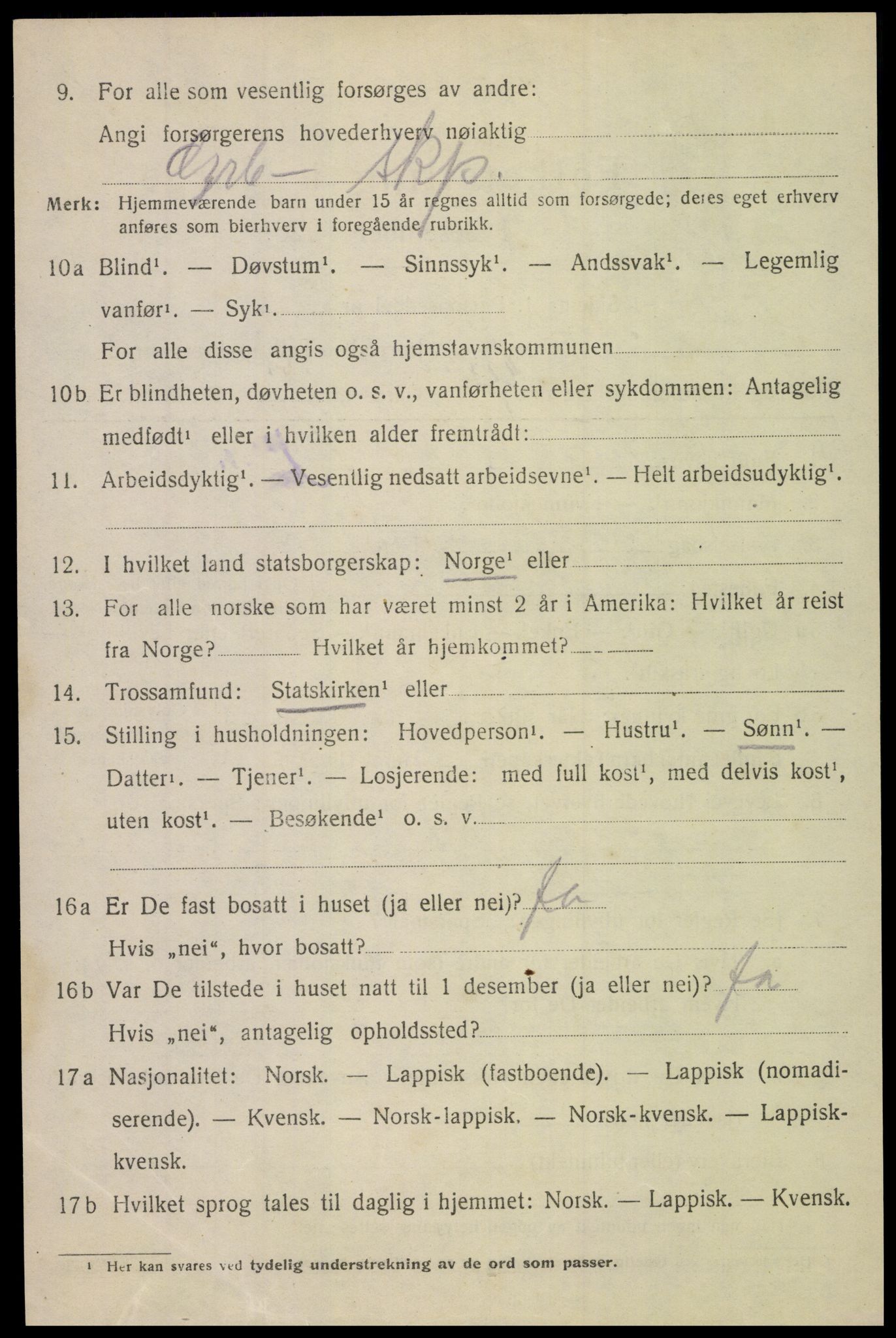 SAT, 1920 census for Bodin, 1920, p. 12841