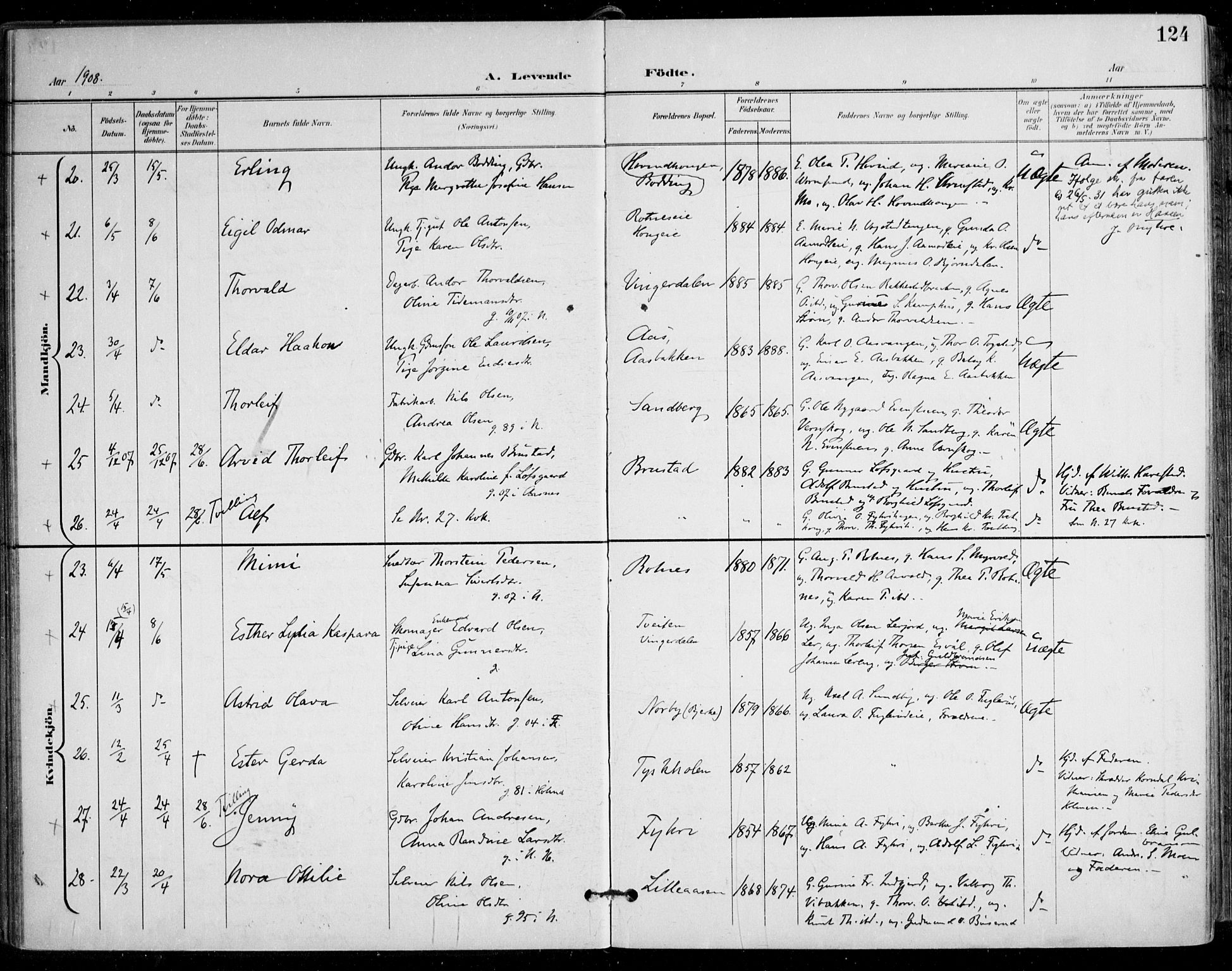 Nes prestekontor Kirkebøker, AV/SAO-A-10410/F/Fa/L0011: Parish register (official) no. I 11, 1899-1918, p. 124