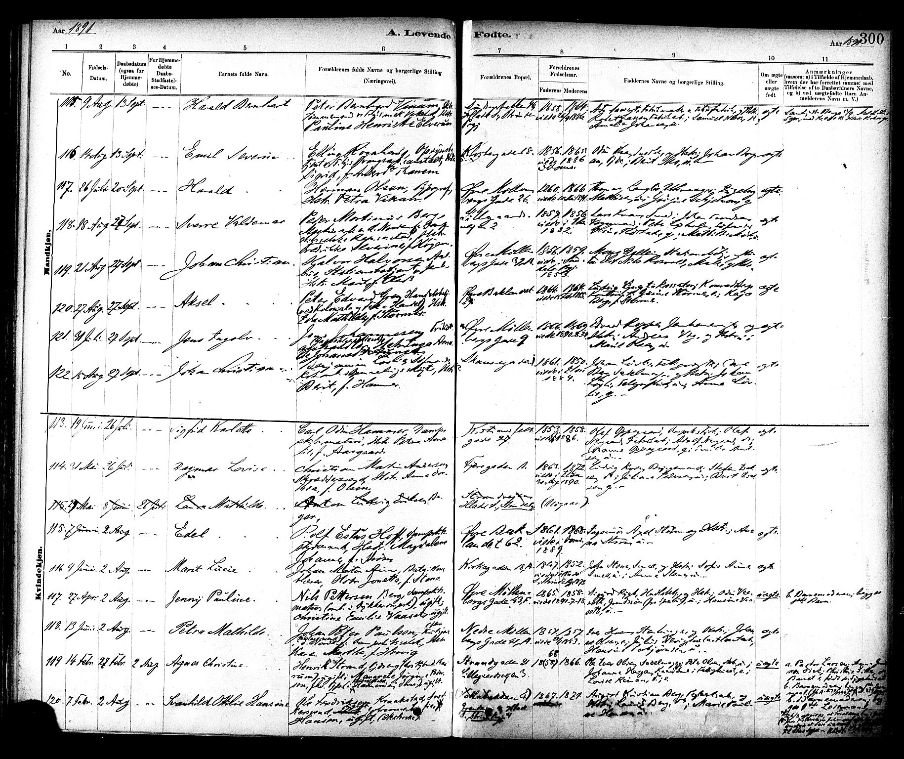 Ministerialprotokoller, klokkerbøker og fødselsregistre - Sør-Trøndelag, AV/SAT-A-1456/604/L0188: Parish register (official) no. 604A09, 1878-1892, p. 300