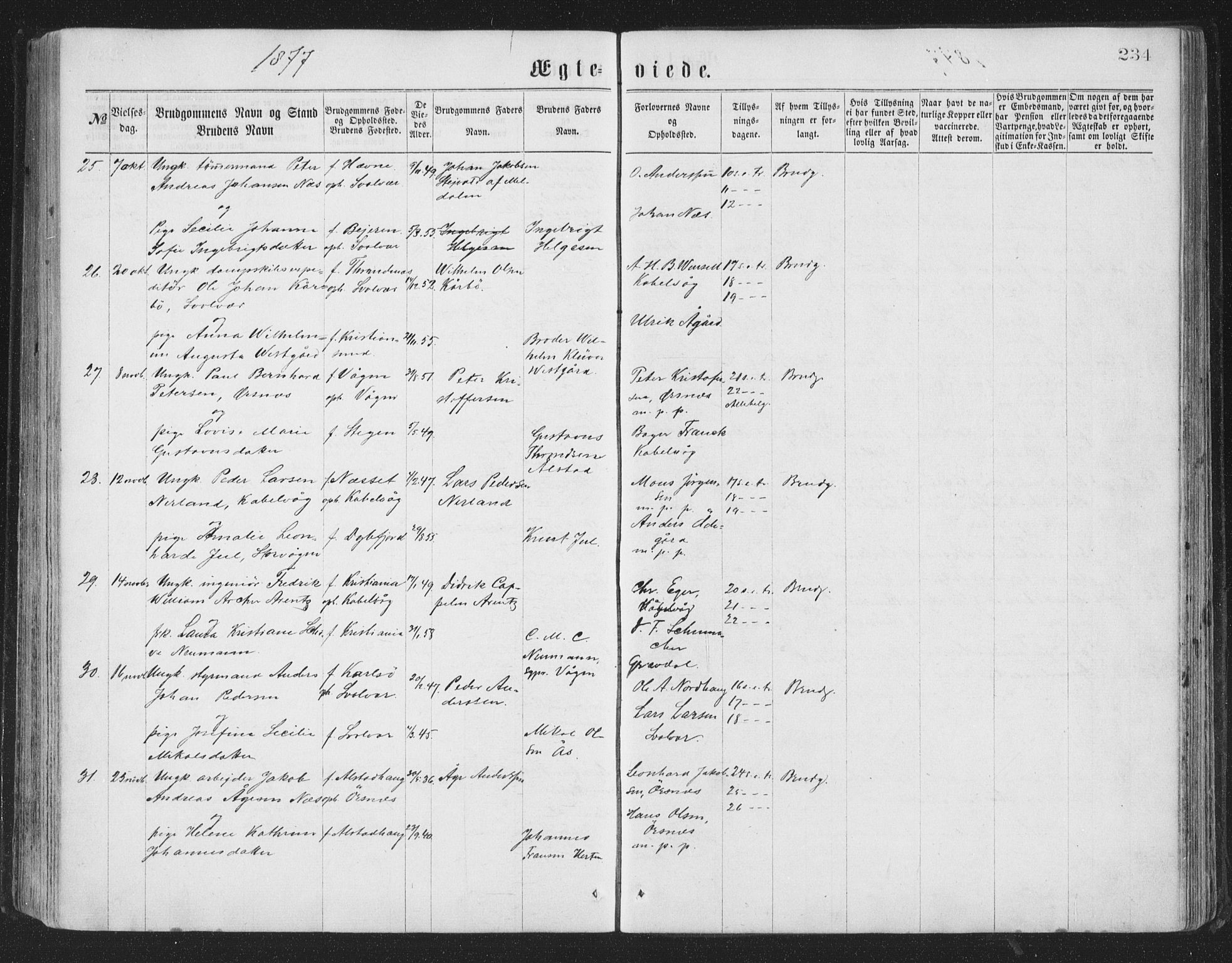 Ministerialprotokoller, klokkerbøker og fødselsregistre - Nordland, AV/SAT-A-1459/874/L1057: Parish register (official) no. 874A01, 1866-1877, p. 234