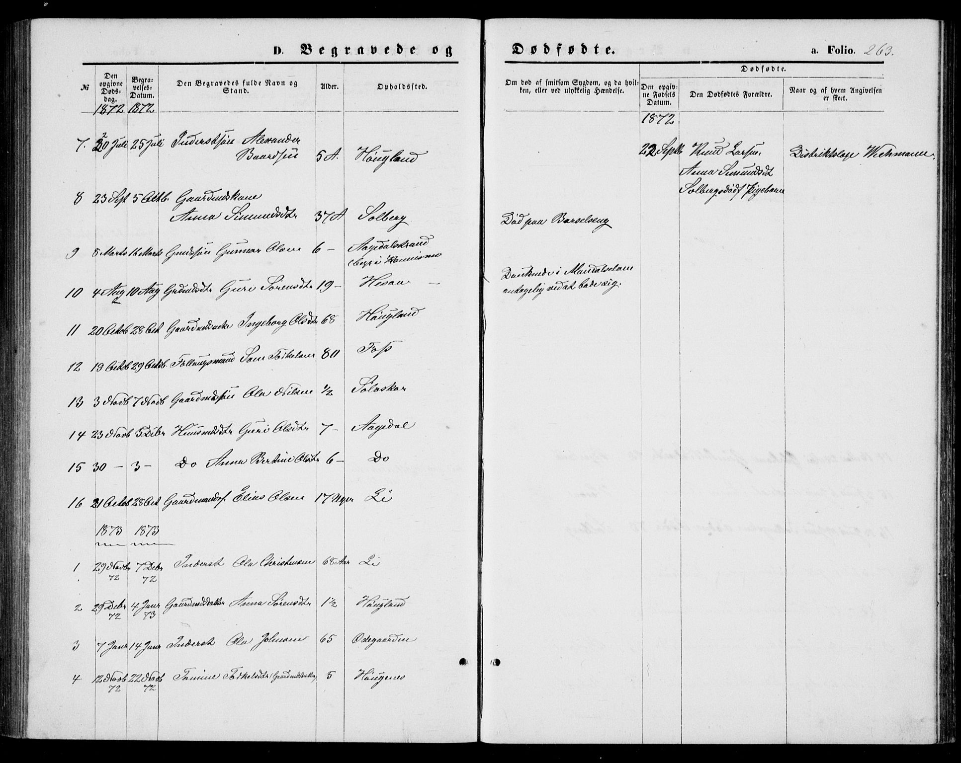 Bjelland sokneprestkontor, AV/SAK-1111-0005/F/Fb/Fba/L0004: Parish register (copy) no. B 4, 1869-1886, p. 263