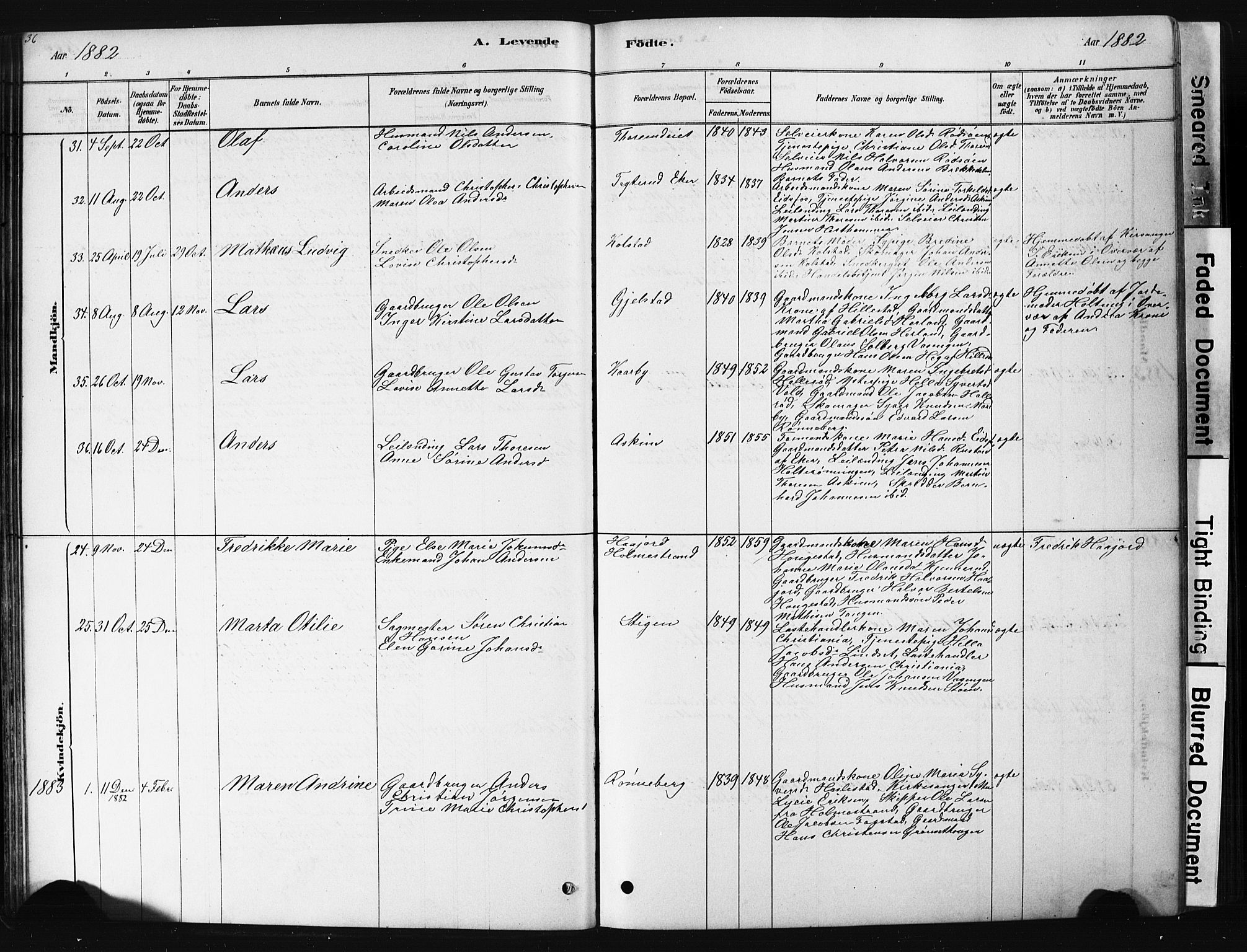 Hof kirkebøker, AV/SAKO-A-64/G/Ga/L0004: Parish register (copy) no. I 4, 1878-1930, p. 36