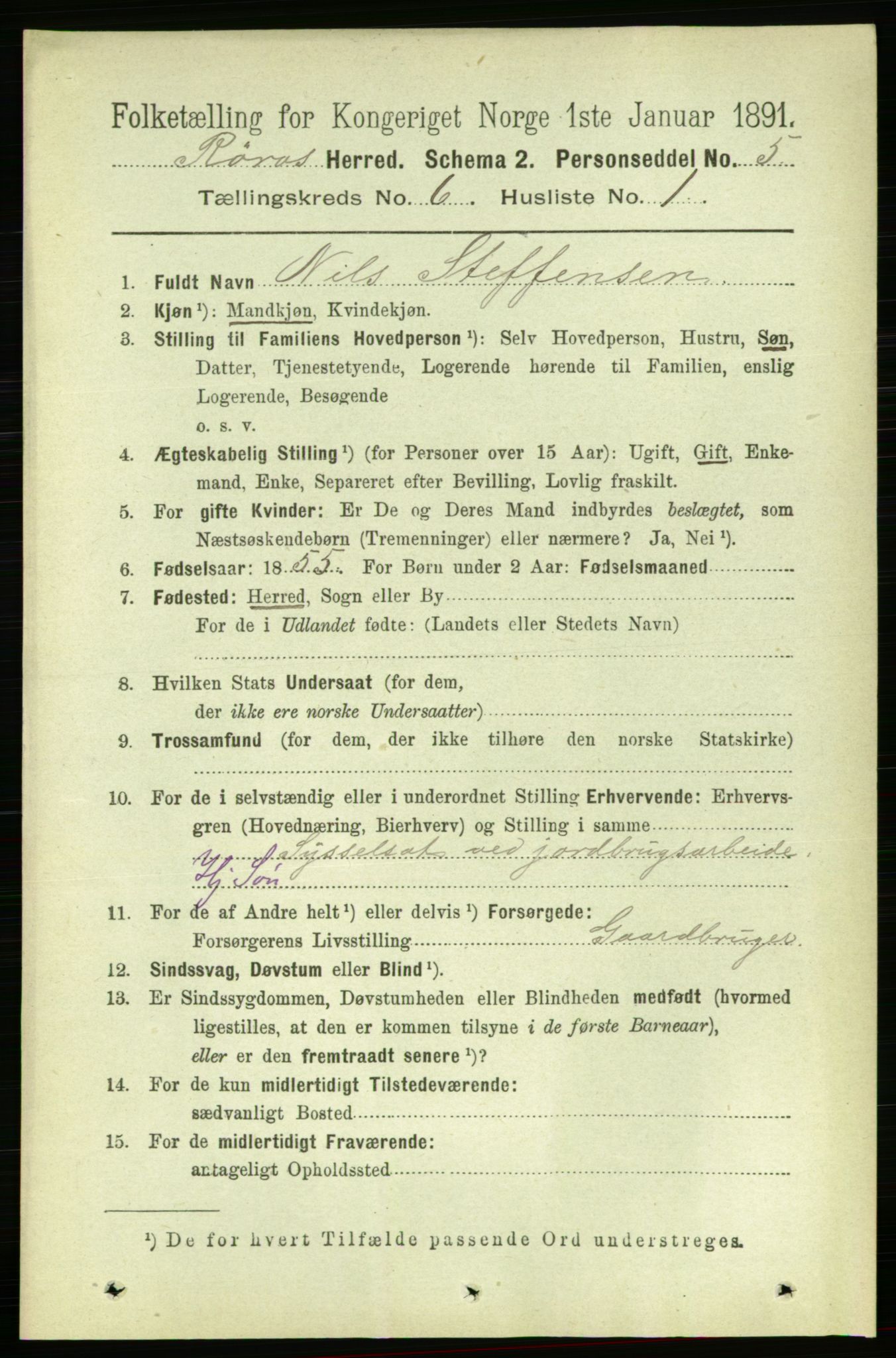 RA, 1891 census for 1640 Røros, 1891, p. 1148