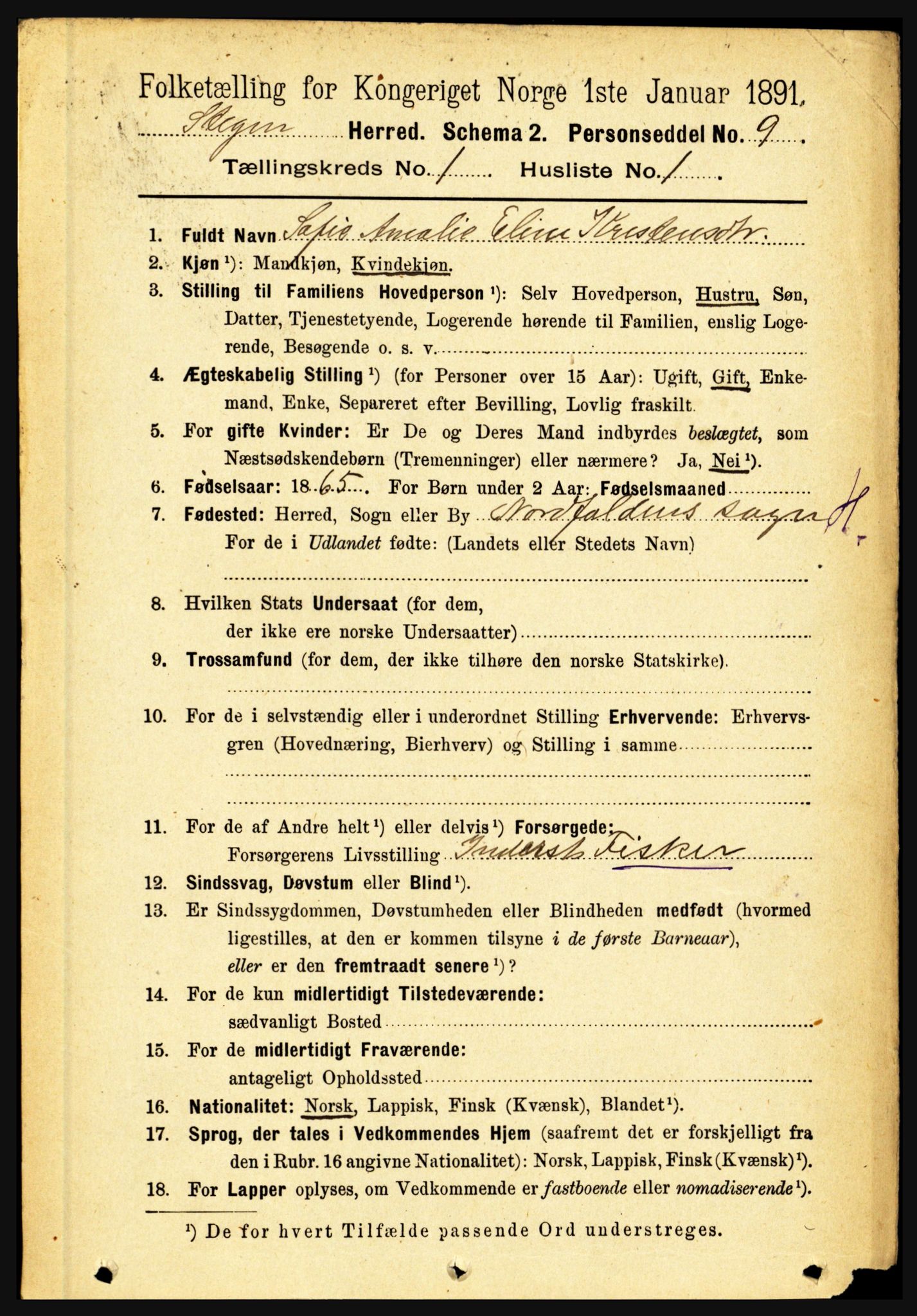 RA, 1891 census for 1848 Steigen, 1891, p. 124