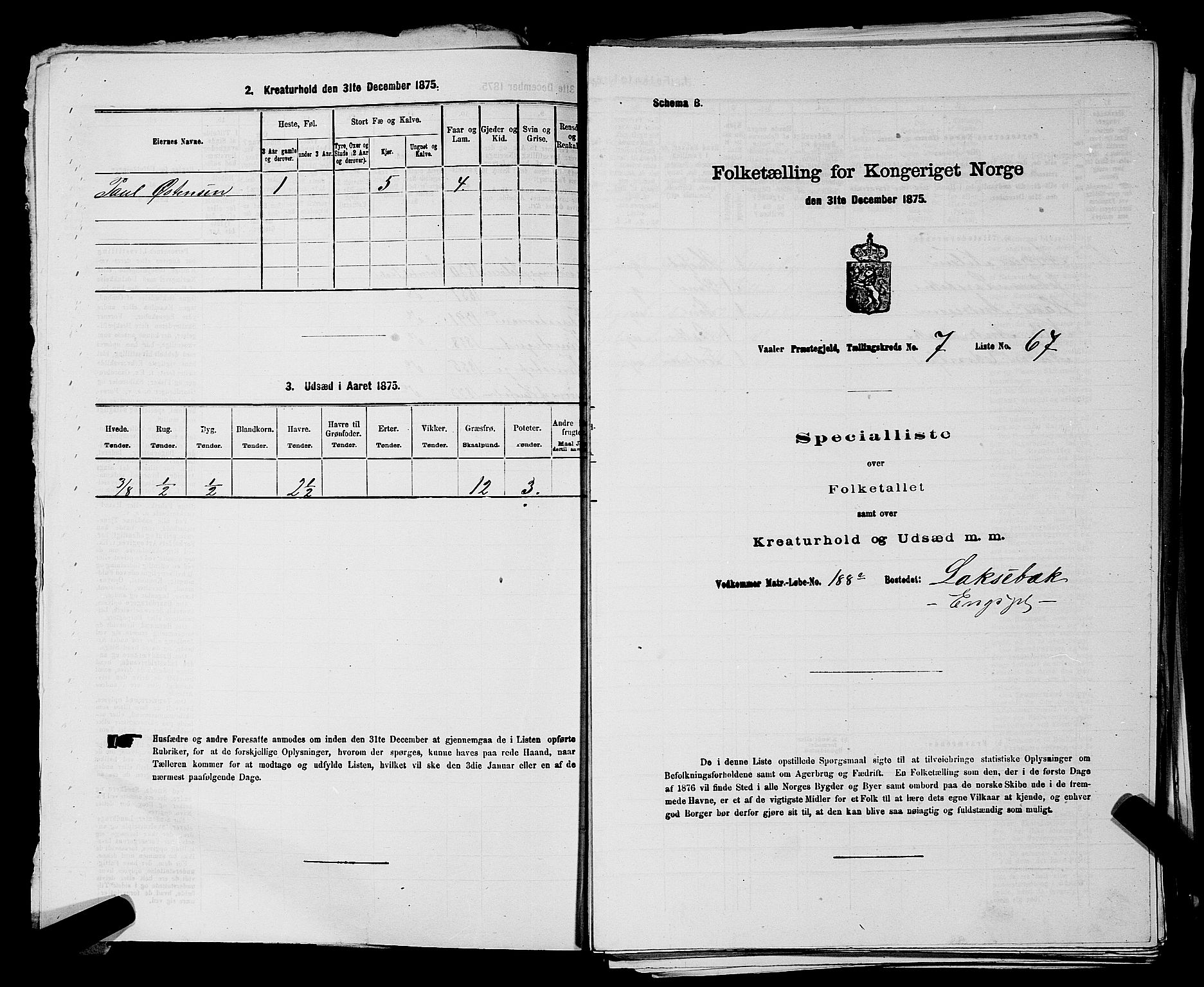 RA, 1875 census for 0137P Våler, 1875, p. 866