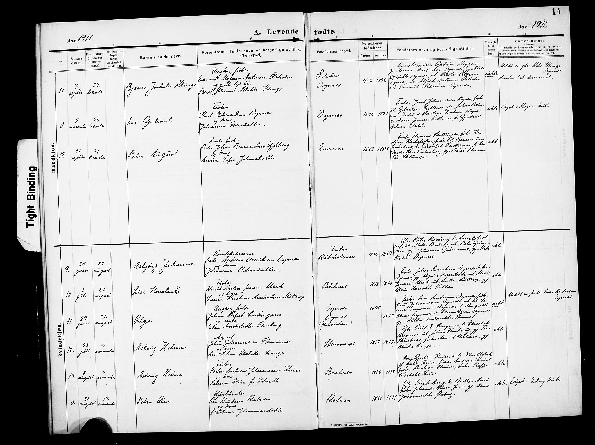 Ministerialprotokoller, klokkerbøker og fødselsregistre - Møre og Romsdal, AV/SAT-A-1454/582/L0949: Parish register (copy) no. 582C01, 1909-1925, p. 14