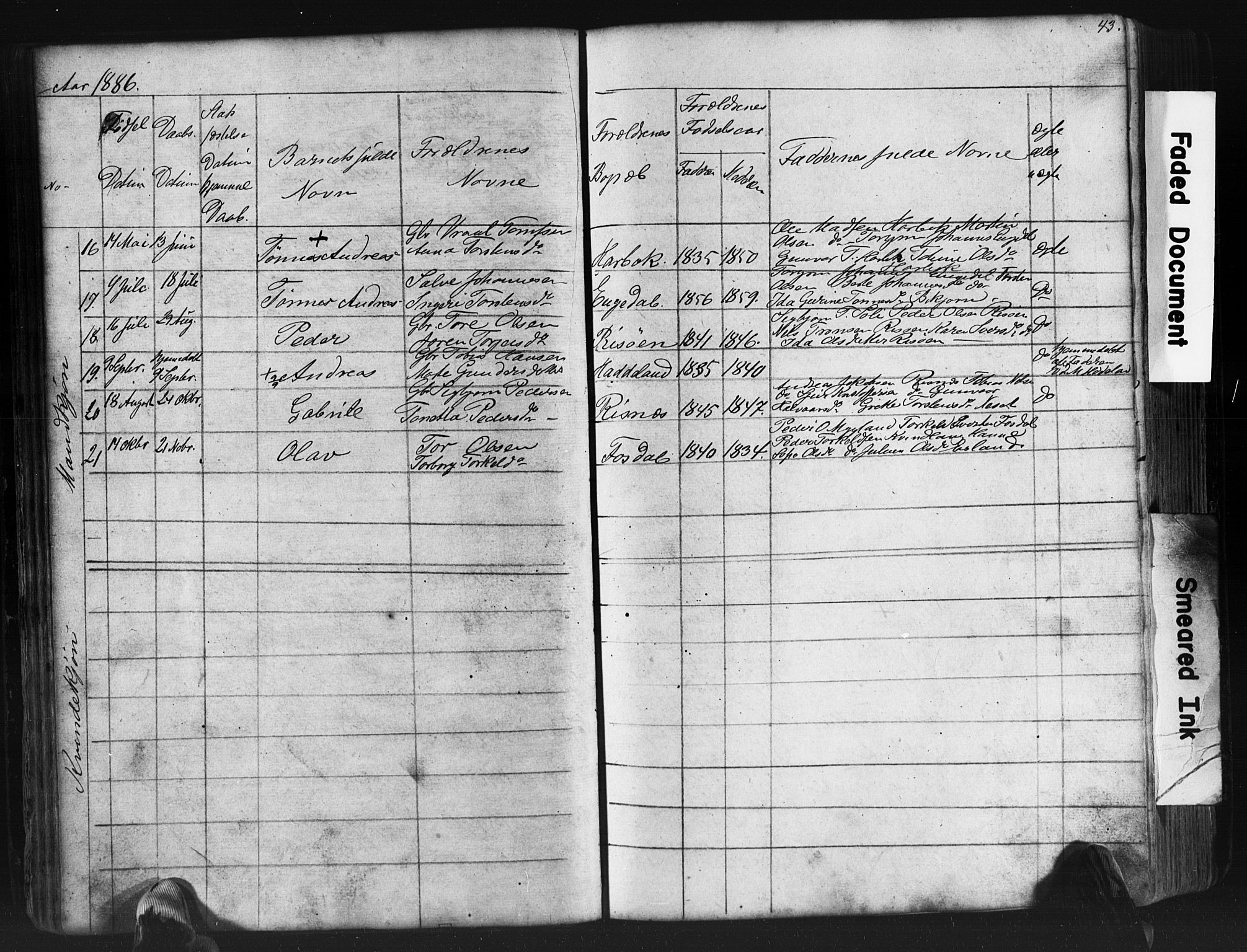 Fjotland sokneprestkontor, AV/SAK-1111-0010/F/Fb/L0003: Parish register (copy) no. B 3, 1872-1924, p. 43