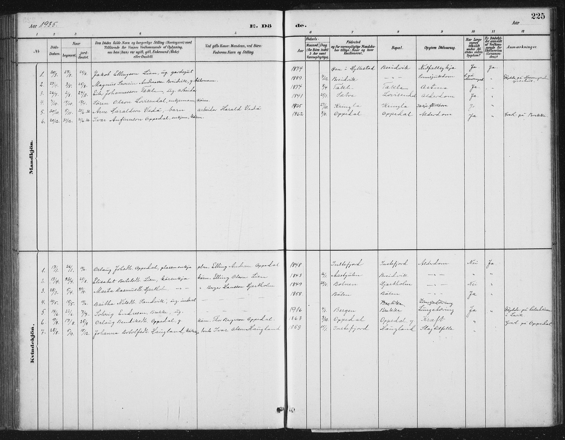 Gulen sokneprestembete, AV/SAB-A-80201/H/Hab/Habc/L0002: Parish register (copy) no. C 2, 1880-1938, p. 225