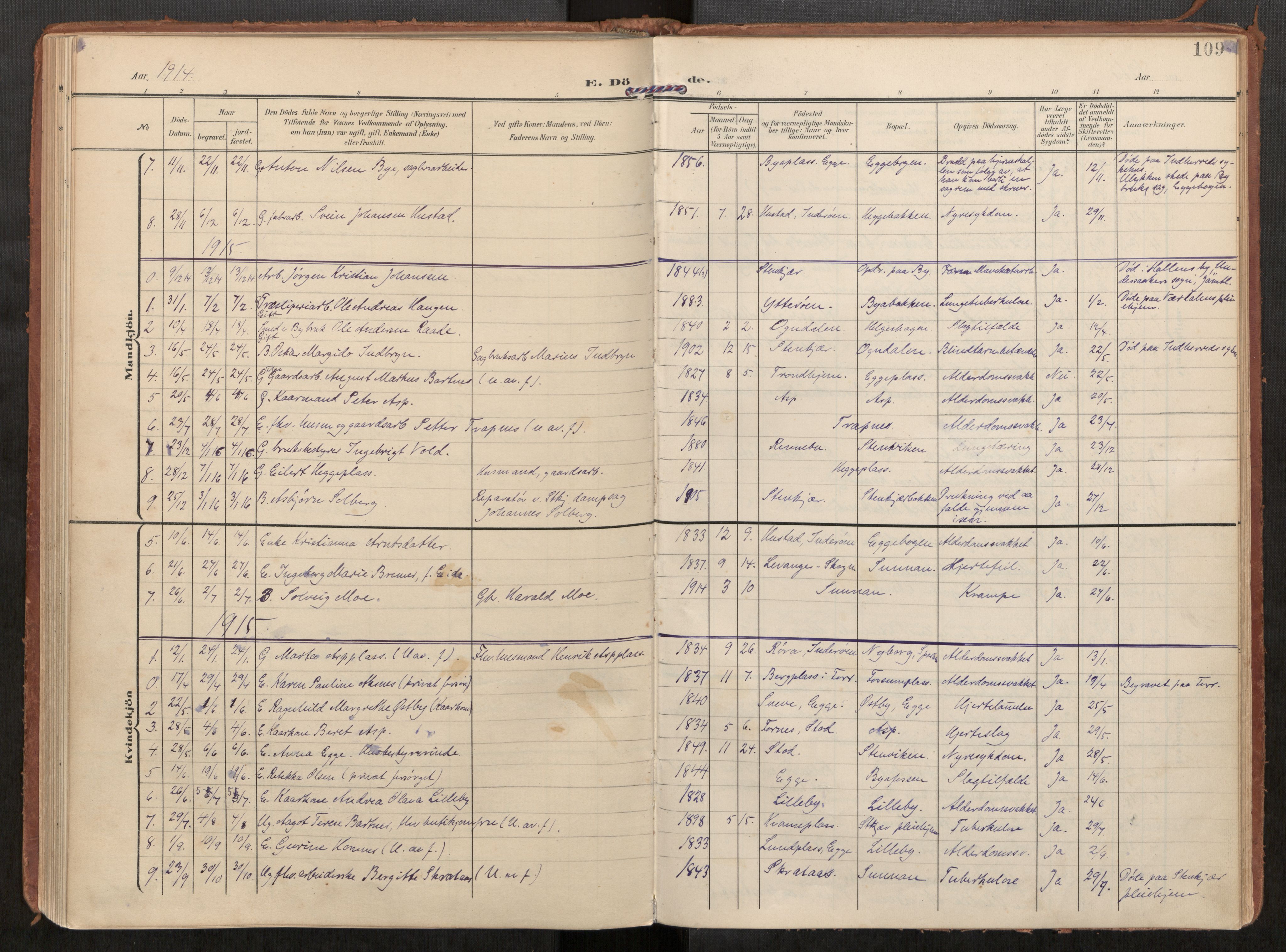 Steinkjer sokneprestkontor, AV/SAT-A-1541/01/H/Ha/Haa/L0002: Parish register (official) no. 2, 1907-1917, p. 109