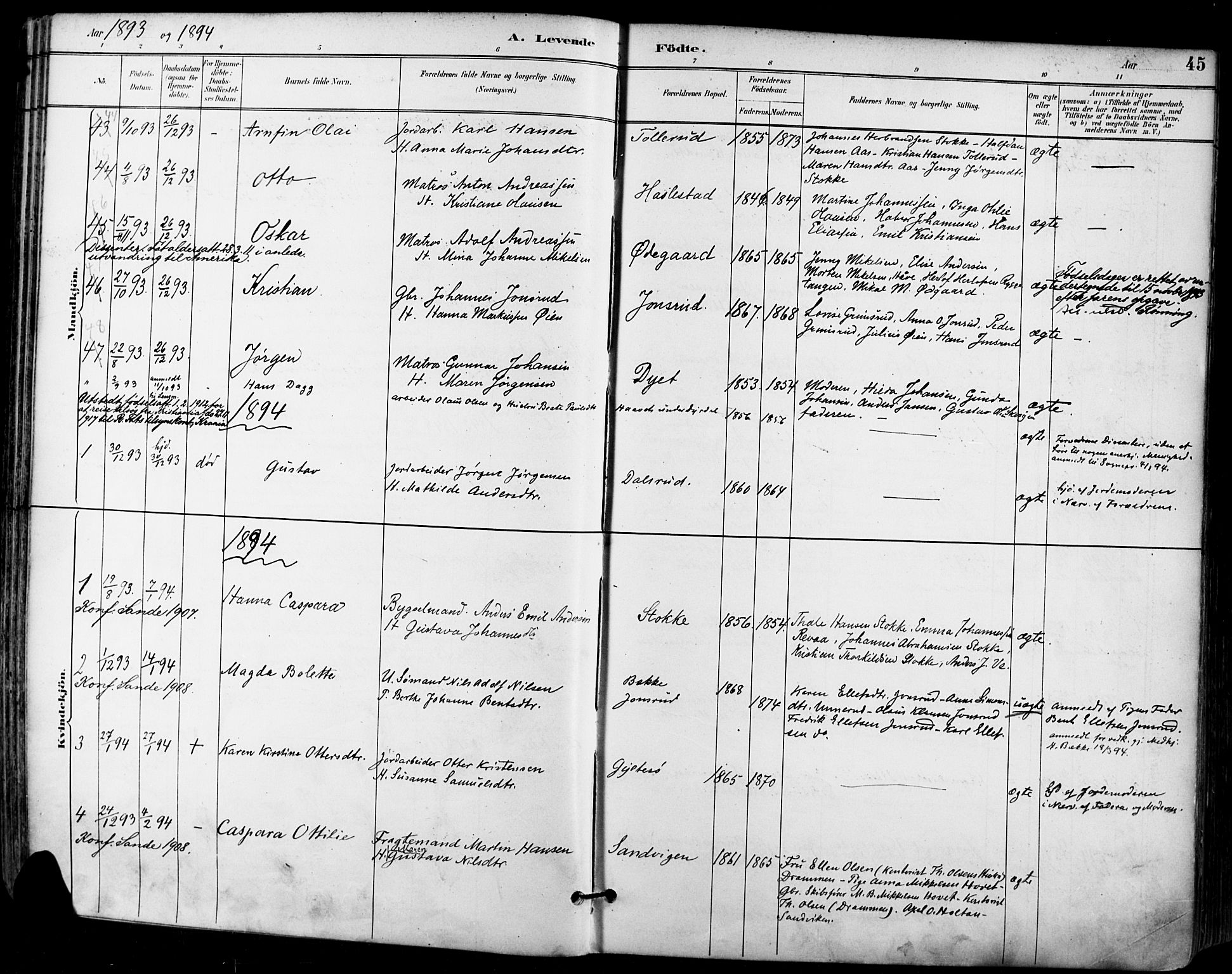 Sande Kirkebøker, AV/SAKO-A-53/F/Fa/L0007: Parish register (official) no. 7, 1888-1903, p. 45