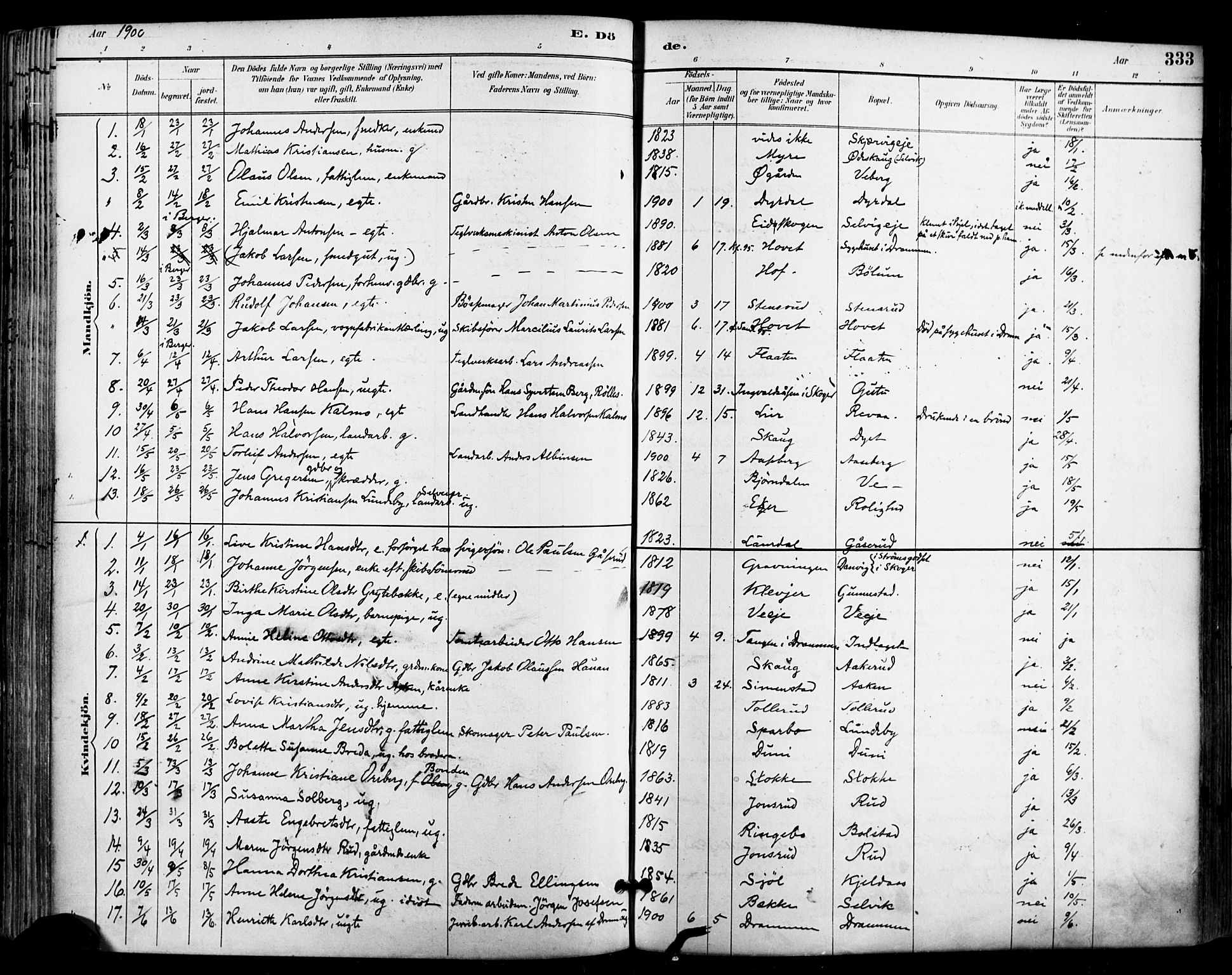 Sande Kirkebøker, AV/SAKO-A-53/F/Fa/L0007: Parish register (official) no. 7, 1888-1903, p. 333