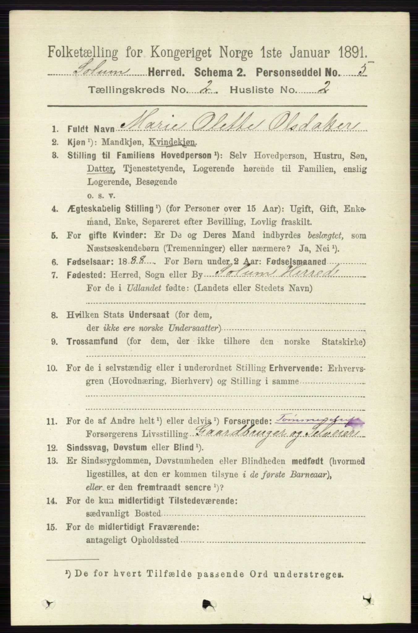 RA, 1891 census for 0818 Solum, 1891, p. 127