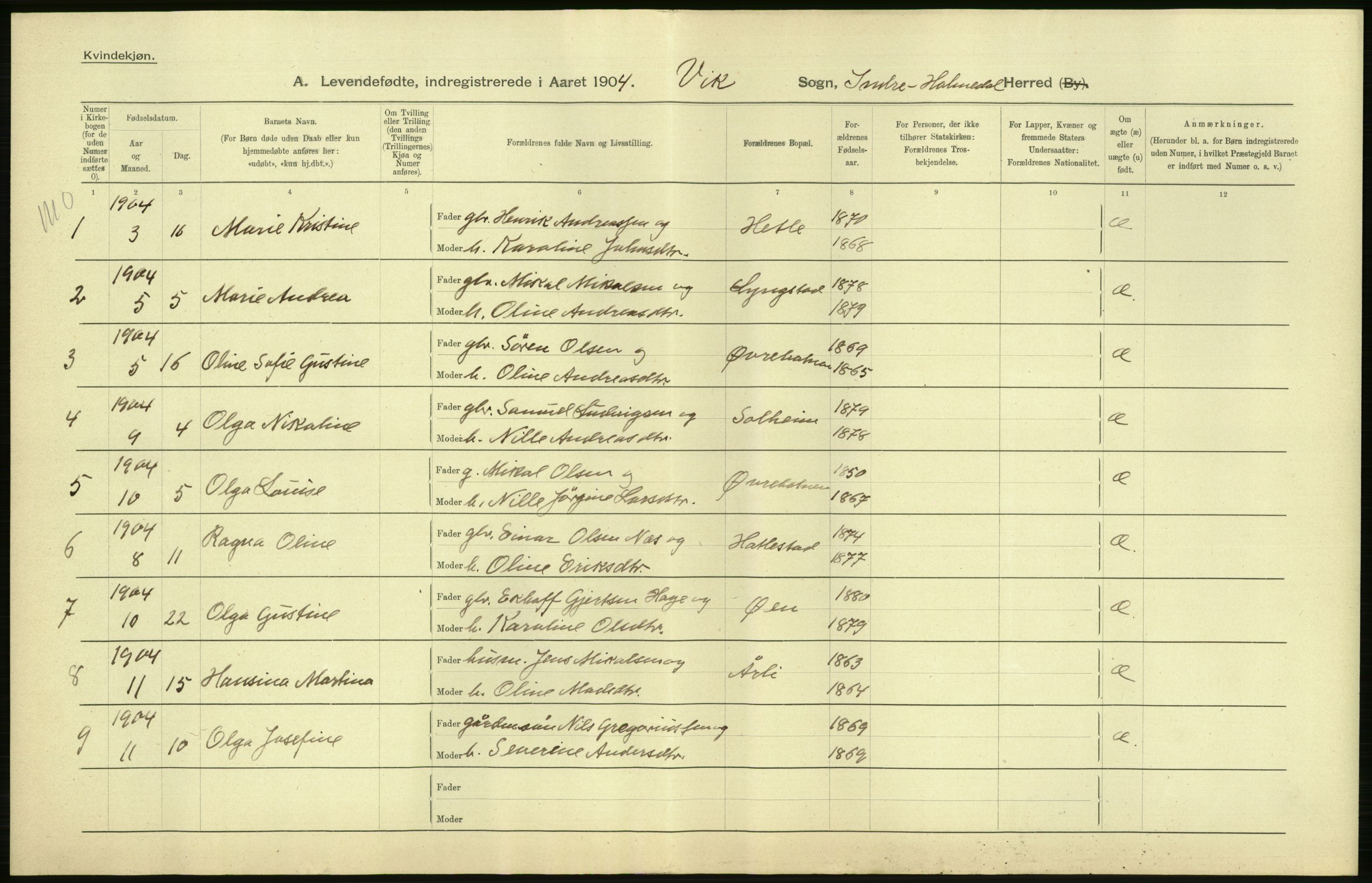 Statistisk sentralbyrå, Sosiodemografiske emner, Befolkning, RA/S-2228/D/Df/Dfa/Dfab/L0015: Nordre Bergenhus amt: Fødte, gifte, døde. Bygder, 1904, p. 54