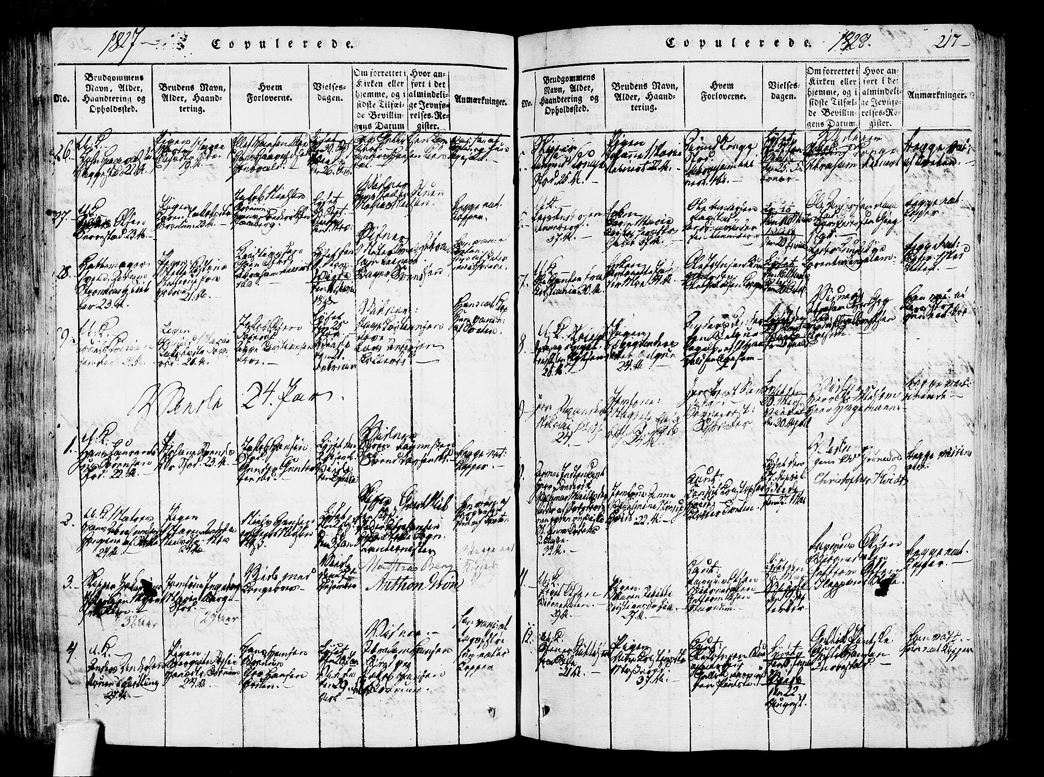 Sandar kirkebøker, SAKO/A-243/F/Fa/L0004: Parish register (official) no. 4, 1814-1832, p. 217