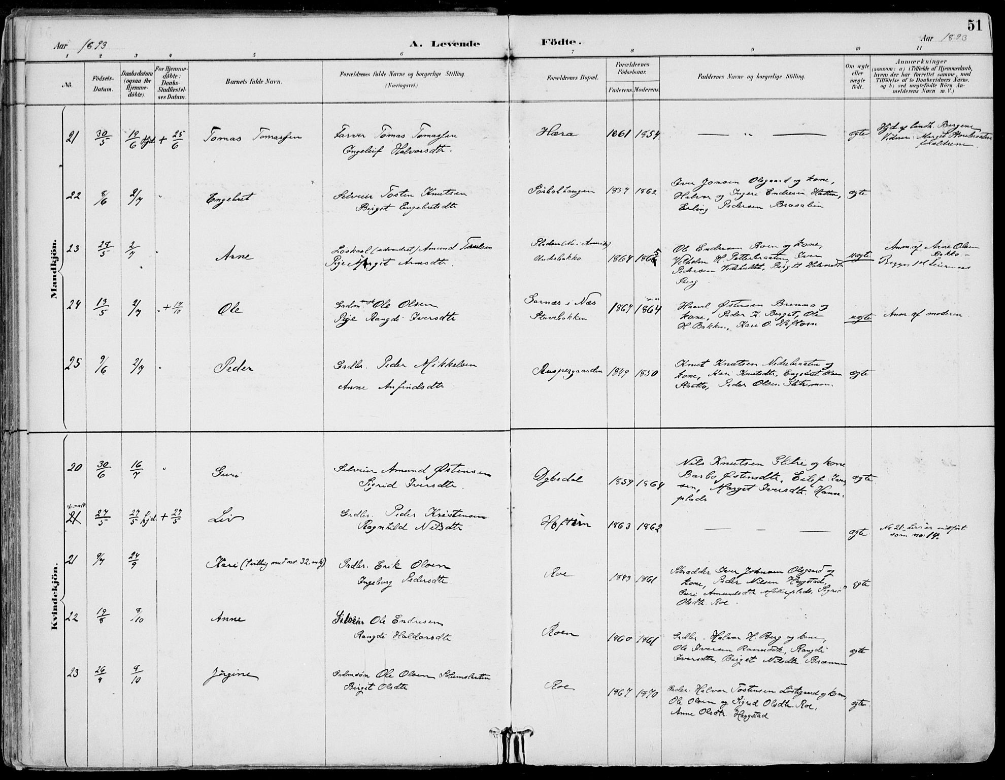 Gol kirkebøker, AV/SAKO-A-226/F/Fa/L0005: Parish register (official) no. I 5, 1887-1900, p. 51