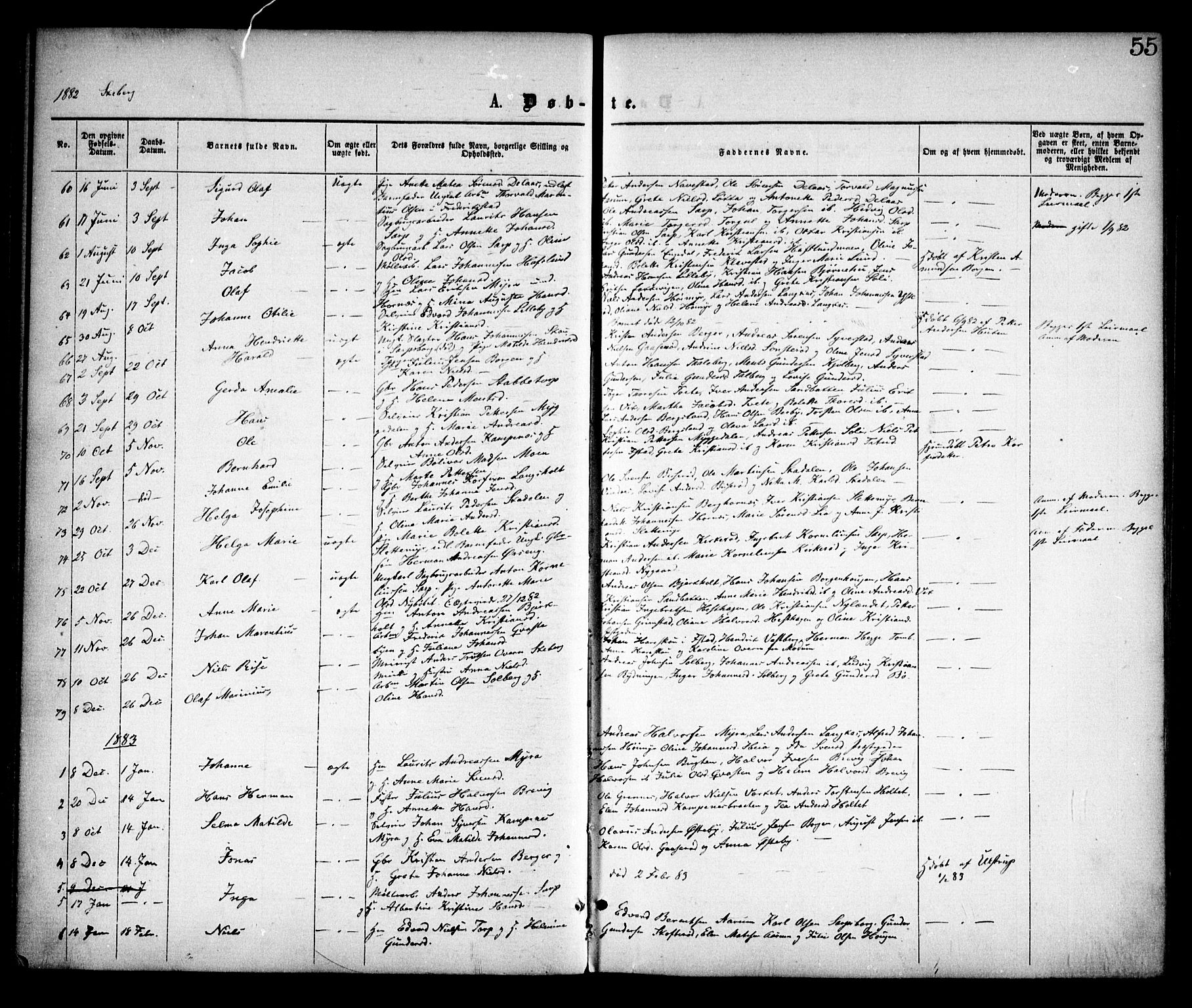 Skjeberg prestekontor Kirkebøker, SAO/A-10923/F/Fa/L0008: Parish register (official) no. I 8, 1869-1885, p. 55