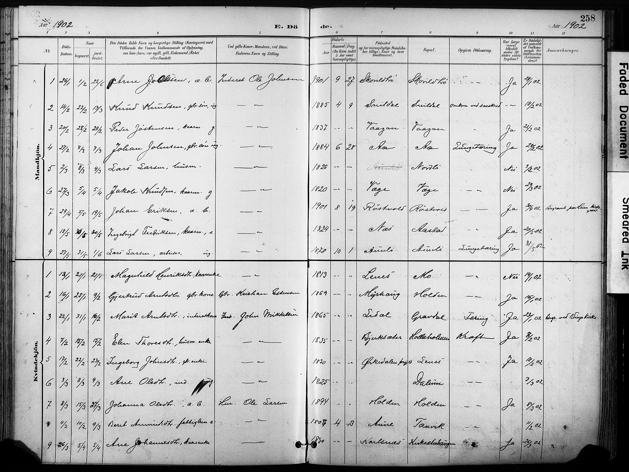 Ministerialprotokoller, klokkerbøker og fødselsregistre - Sør-Trøndelag, SAT/A-1456/630/L0497: Parish register (official) no. 630A10, 1896-1910, p. 258