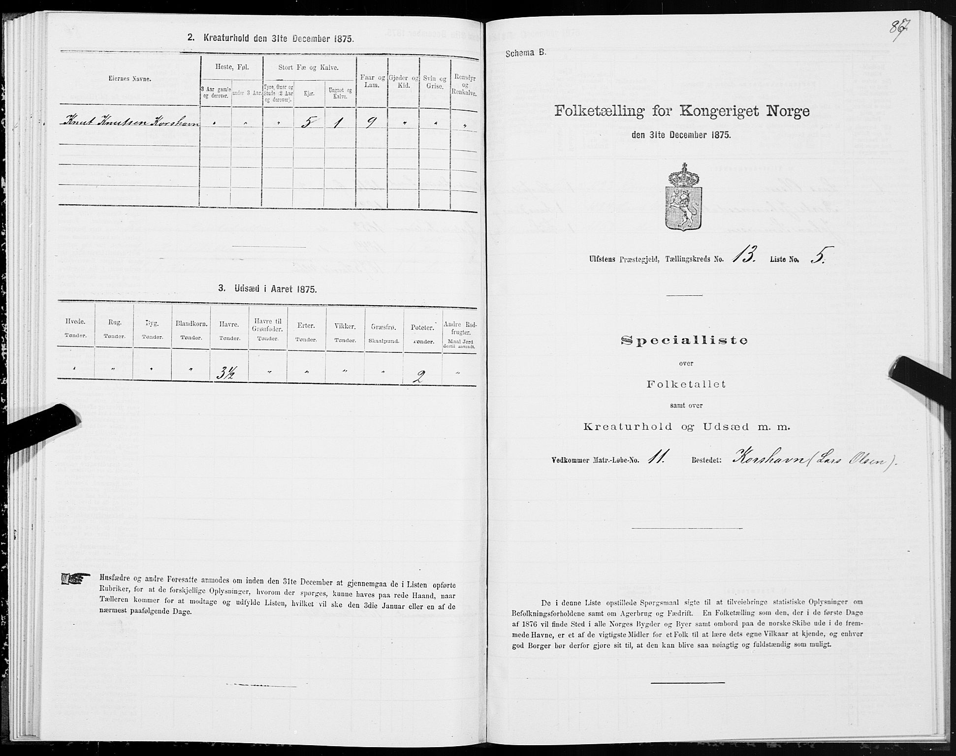 SAT, 1875 census for 1516P Ulstein, 1875, p. 5087