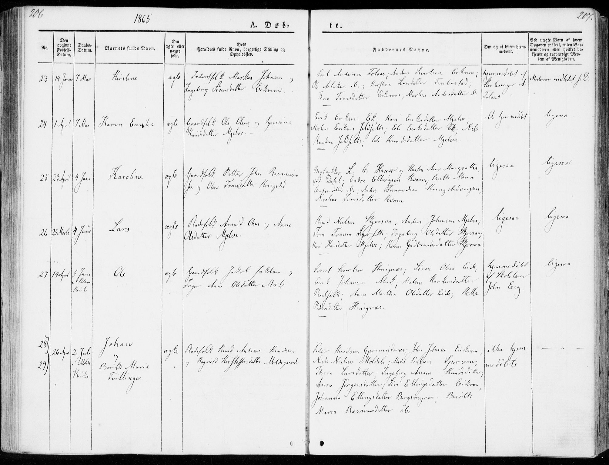 Ministerialprotokoller, klokkerbøker og fødselsregistre - Møre og Romsdal, AV/SAT-A-1454/555/L0653: Parish register (official) no. 555A04, 1843-1869, p. 206-207