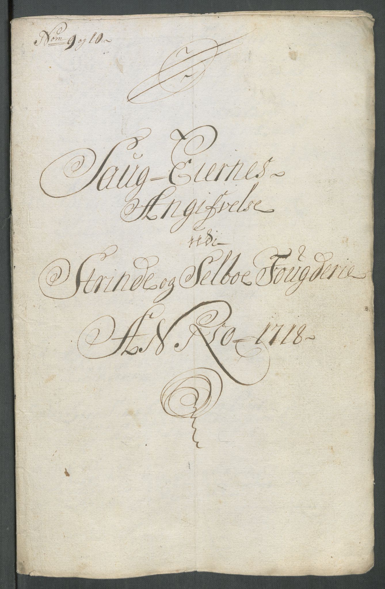 Rentekammeret inntil 1814, Reviderte regnskaper, Fogderegnskap, RA/EA-4092/R61/L4116: Fogderegnskap Strinda og Selbu, 1717-1718, p. 391