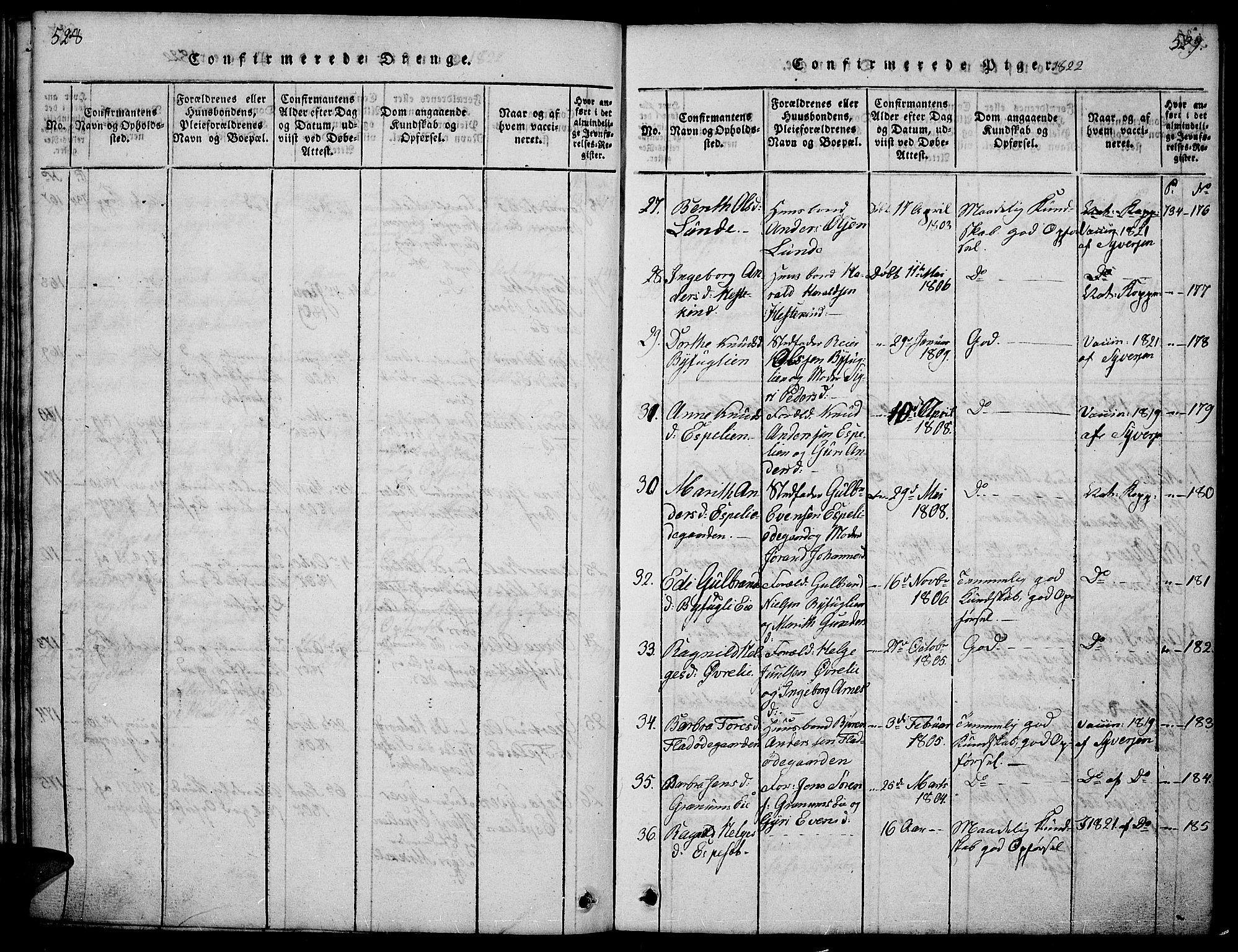 Sør-Aurdal prestekontor, AV/SAH-PREST-128/H/Ha/Hab/L0001: Parish register (copy) no. 1, 1815-1826, p. 528-529