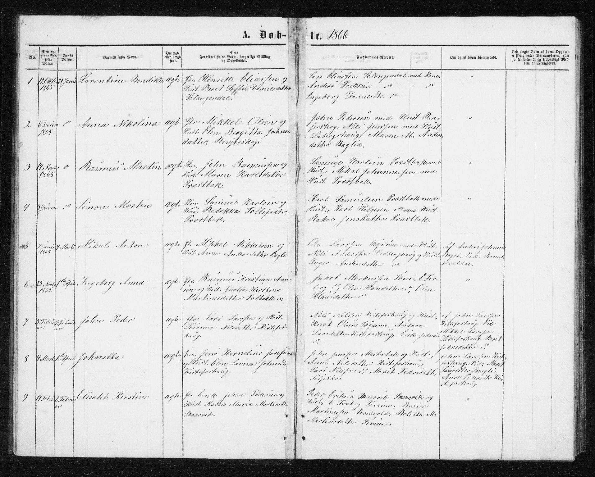 Ibestad sokneprestembete, SATØ/S-0077/H/Ha/Hab/L0013klokker: Parish register (copy) no. 13, 1865-1879, p. 8