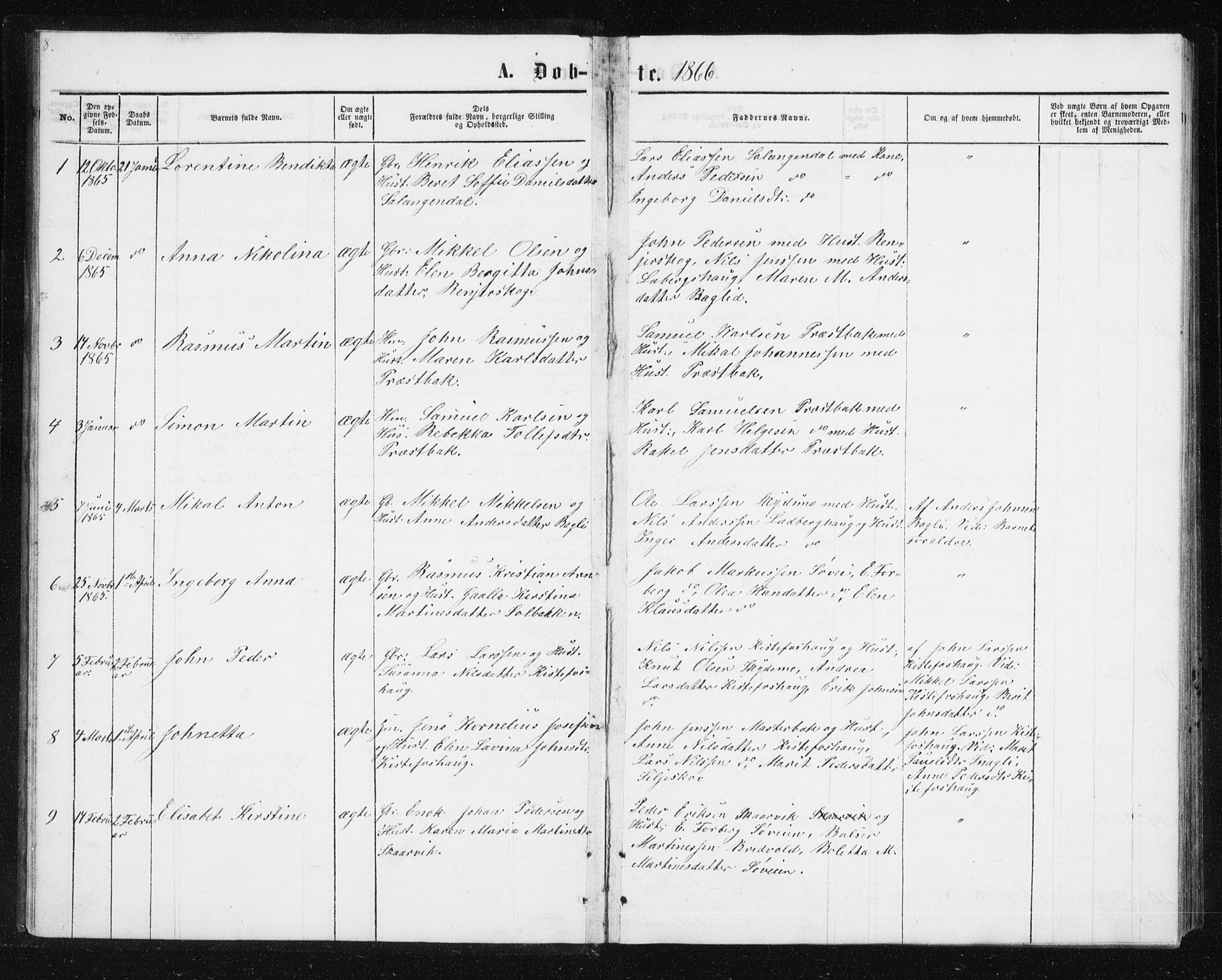 Ibestad sokneprestembete, AV/SATØ-S-0077/H/Ha/Hab/L0013klokker: Parish register (copy) no. 13, 1865-1879, p. 8