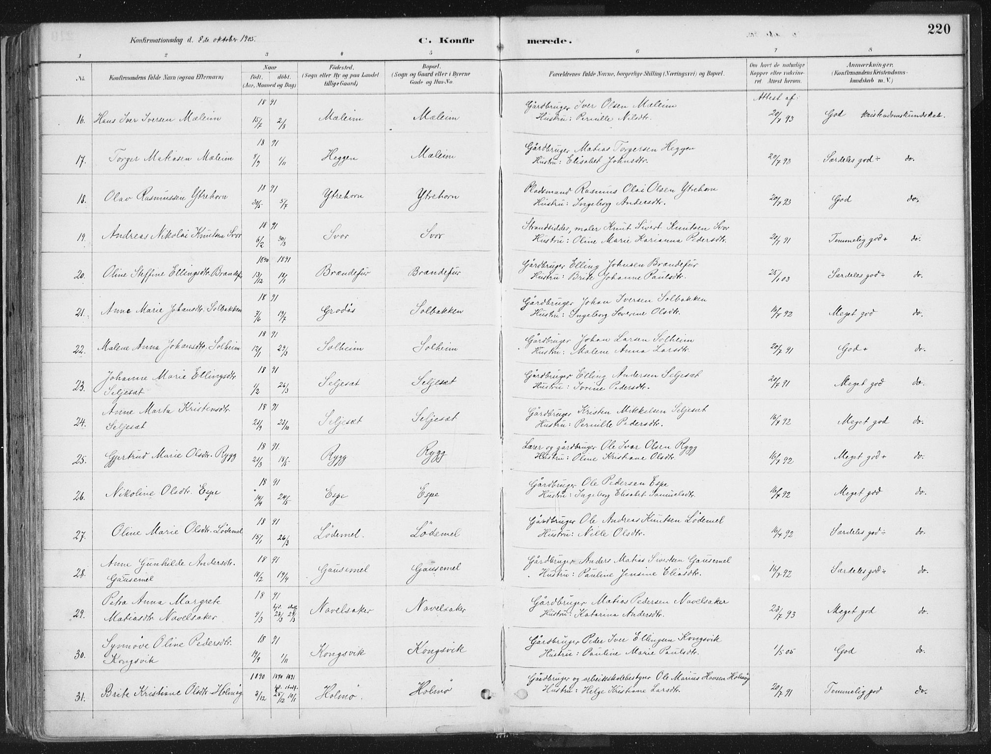 Hornindal sokneprestembete, SAB/A-82401/H/Haa/Haaa/L0003/0001: Parish register (official) no. A 3A, 1887-1917, p. 220