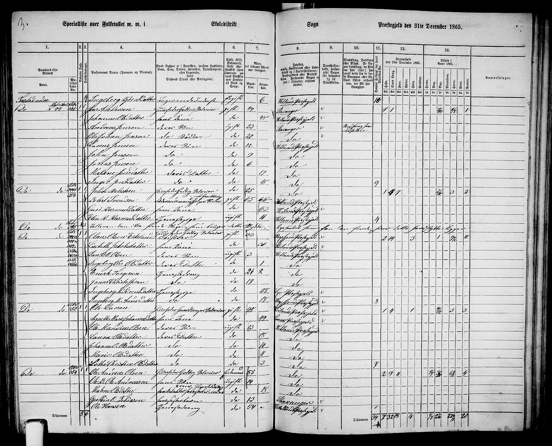 RA, 1865 census for Hetland, 1865, p. 169