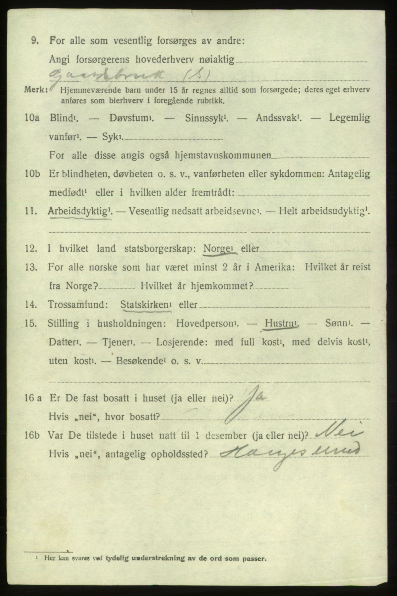 SAB, 1920 census for Etne, 1920, p. 1028