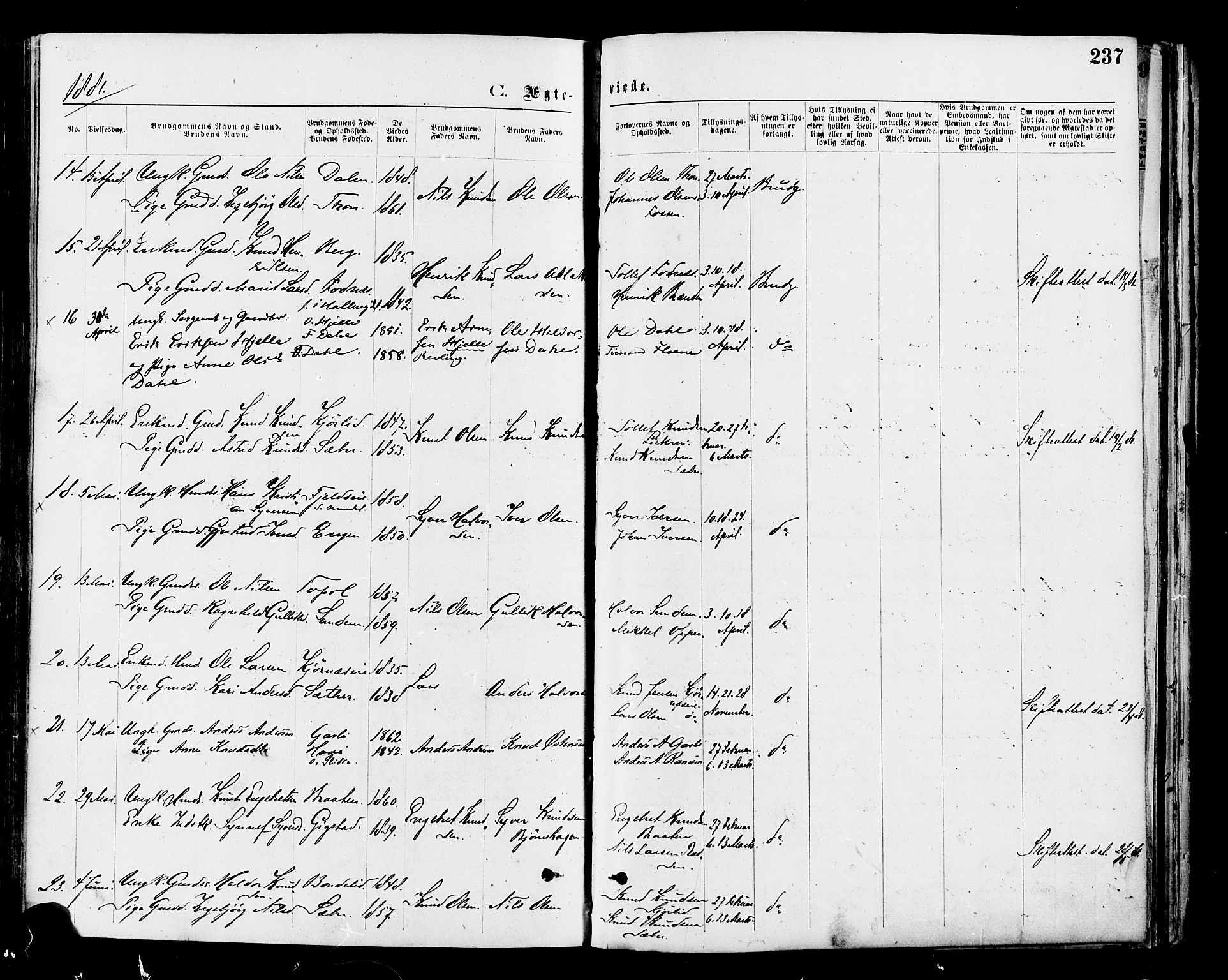 Nord-Aurdal prestekontor, AV/SAH-PREST-132/H/Ha/Haa/L0009: Parish register (official) no. 9, 1876-1882, p. 237