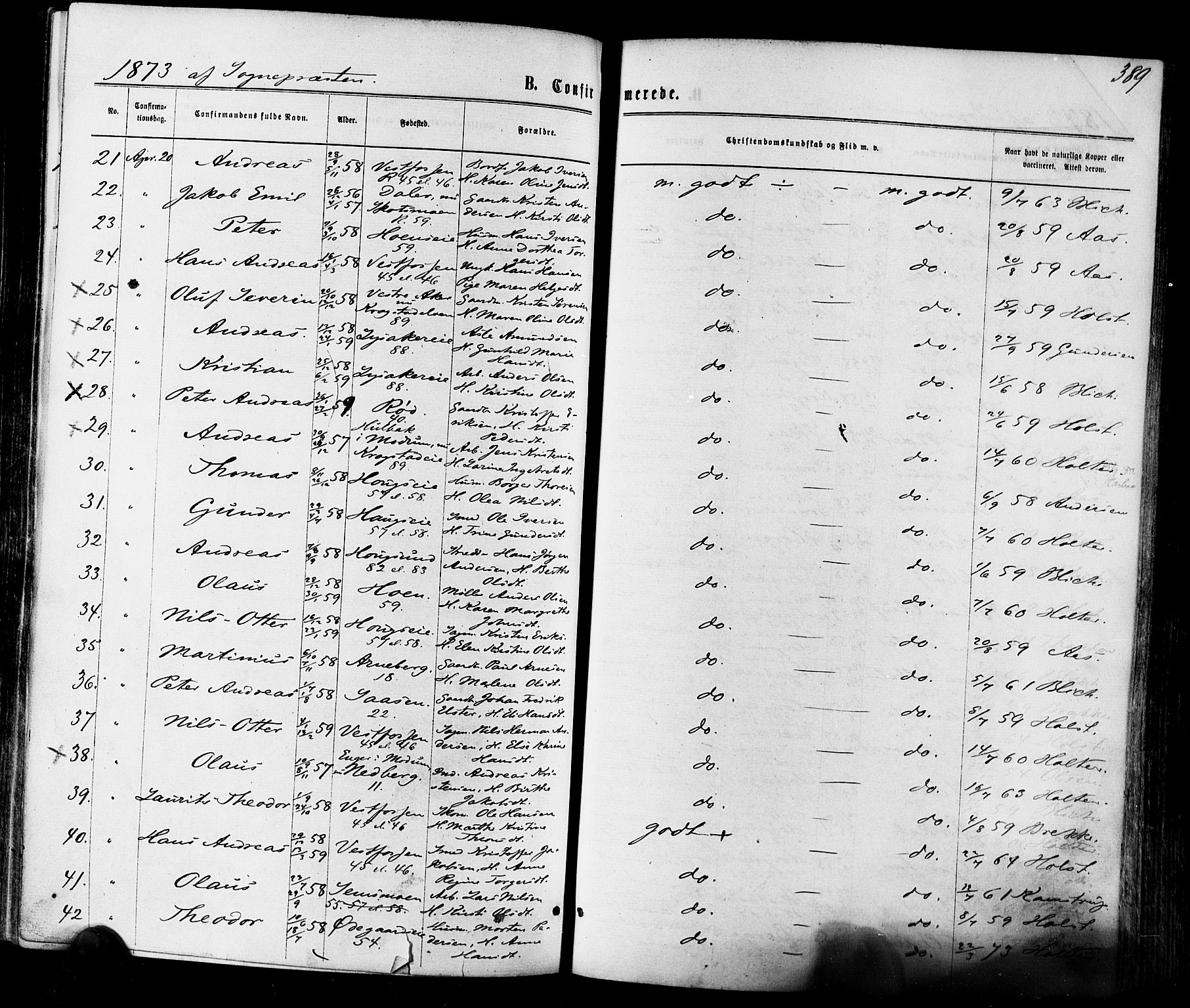 Eiker kirkebøker, AV/SAKO-A-4/F/Fa/L0017: Parish register (official) no. I 17, 1869-1877, p. 389