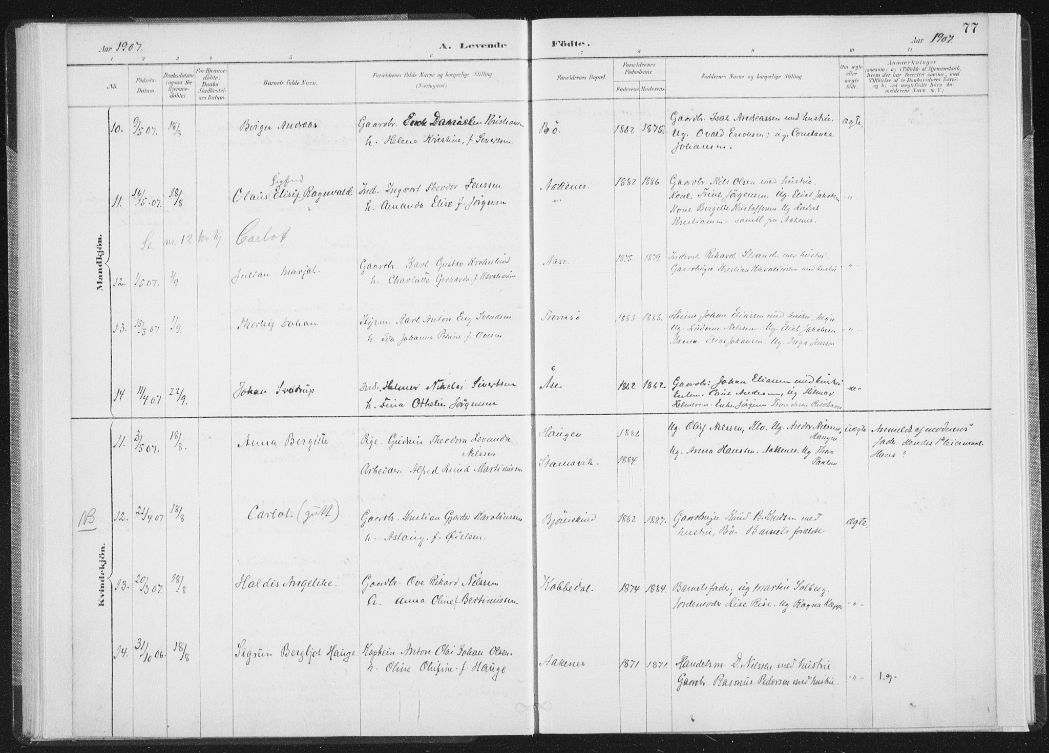 Ministerialprotokoller, klokkerbøker og fødselsregistre - Nordland, SAT/A-1459/898/L1422: Parish register (official) no. 898A02, 1887-1908, p. 77