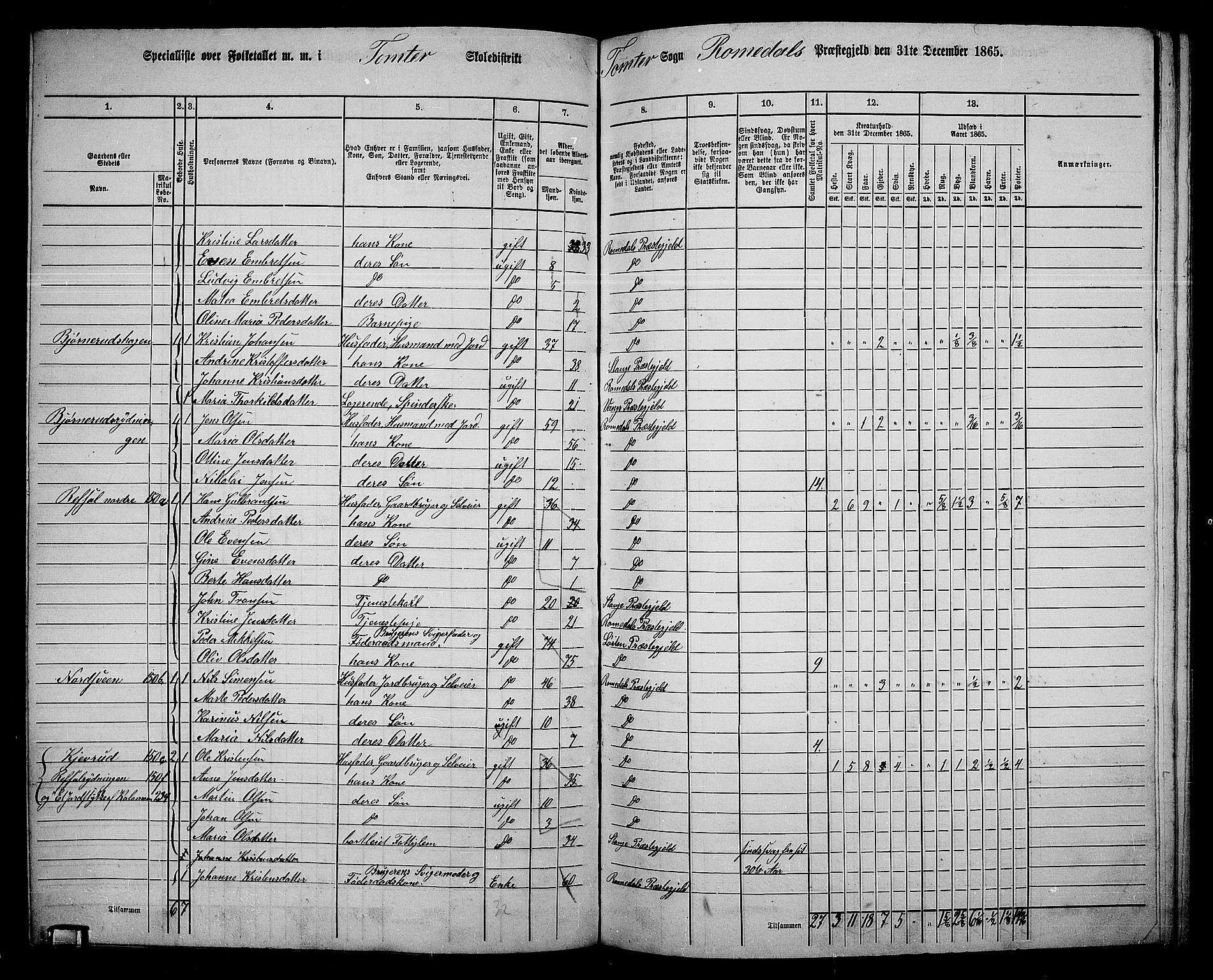 RA, 1865 census for Romedal, 1865, p. 132