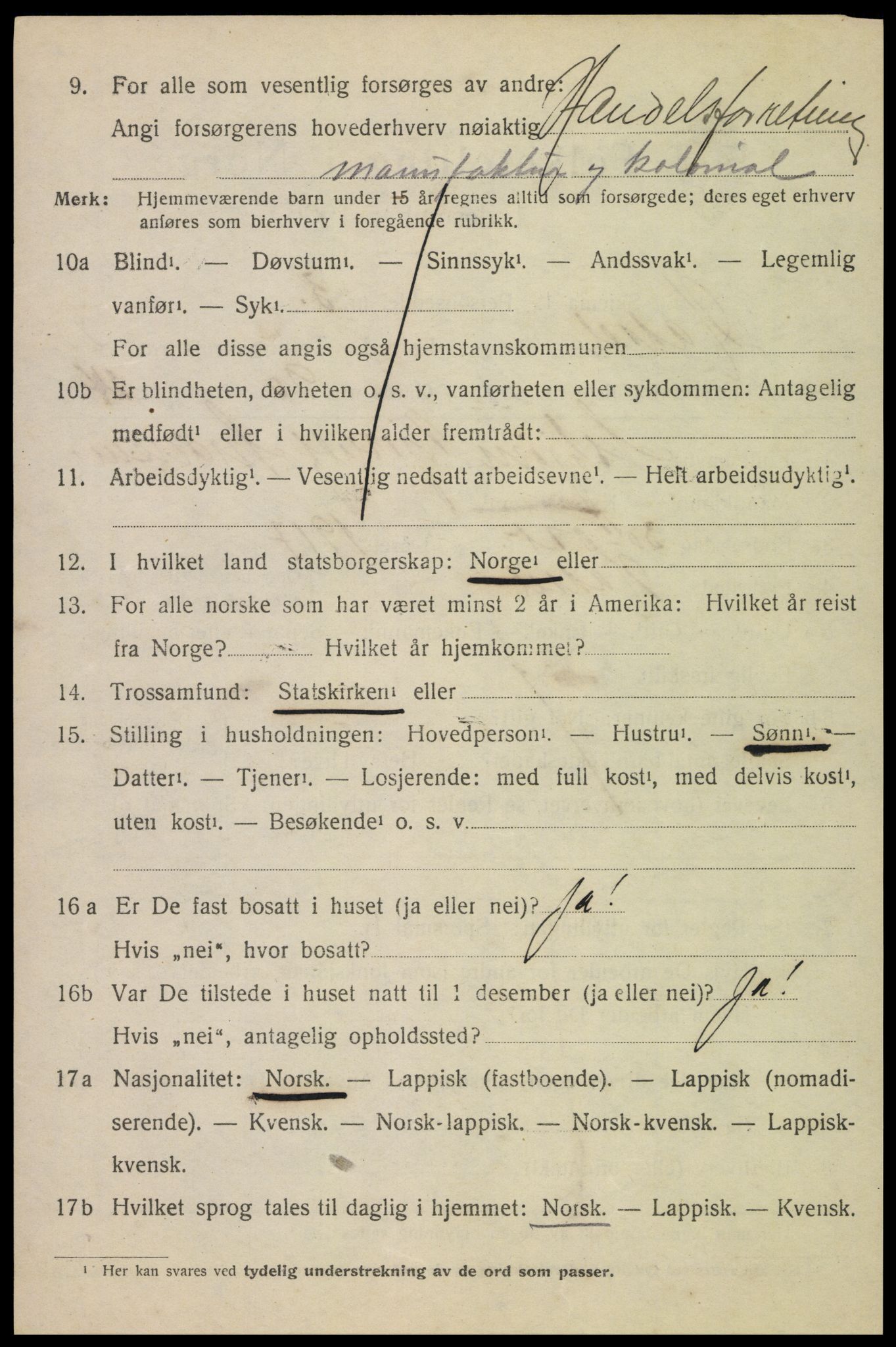 SAT, 1920 census for Hadsel, 1920, p. 20491