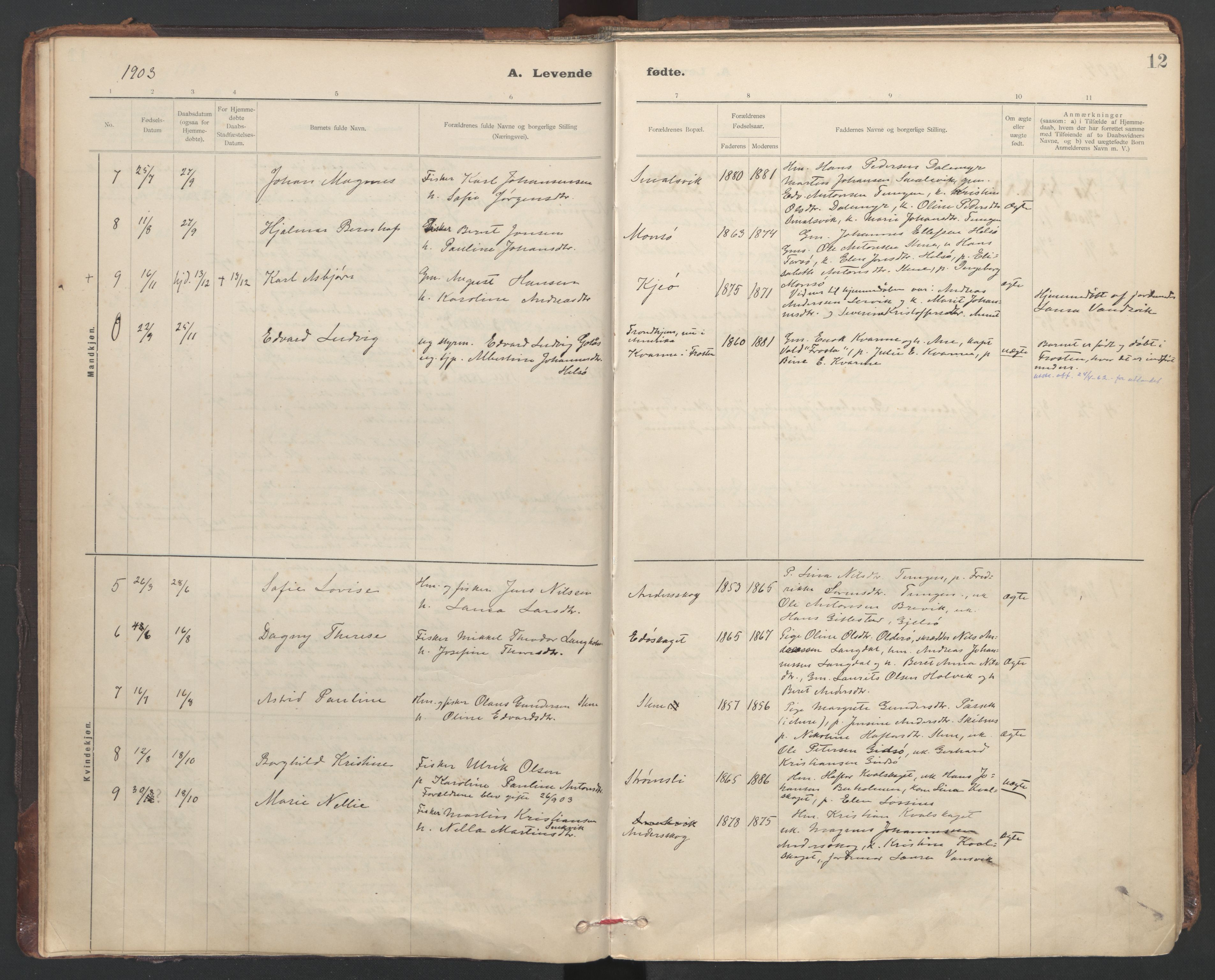 Ministerialprotokoller, klokkerbøker og fødselsregistre - Sør-Trøndelag, SAT/A-1456/635/L0552: Parish register (official) no. 635A02, 1899-1919, p. 12