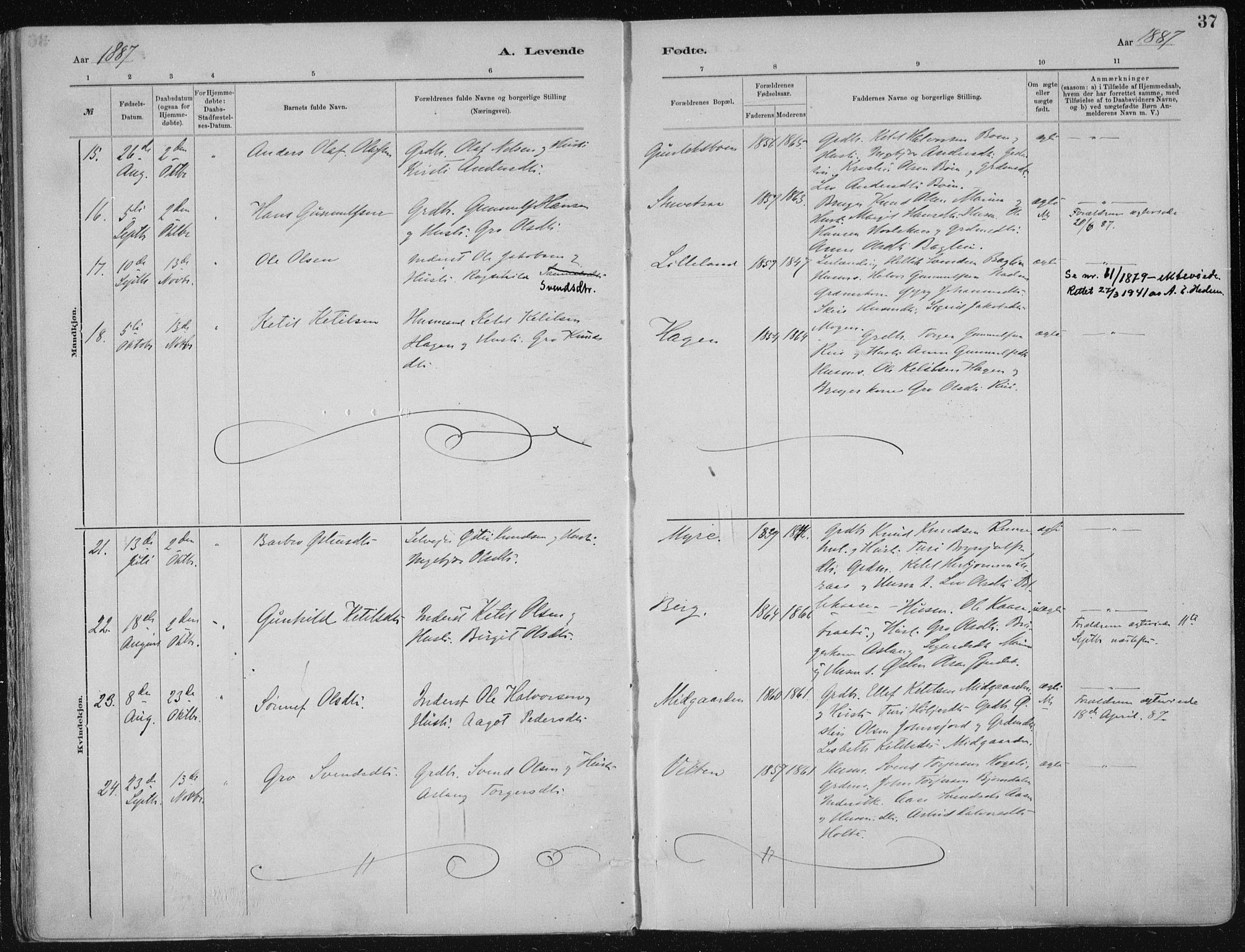 Tinn kirkebøker, AV/SAKO-A-308/F/Fa/L0007: Parish register (official) no. I 7, 1878-1922, p. 37