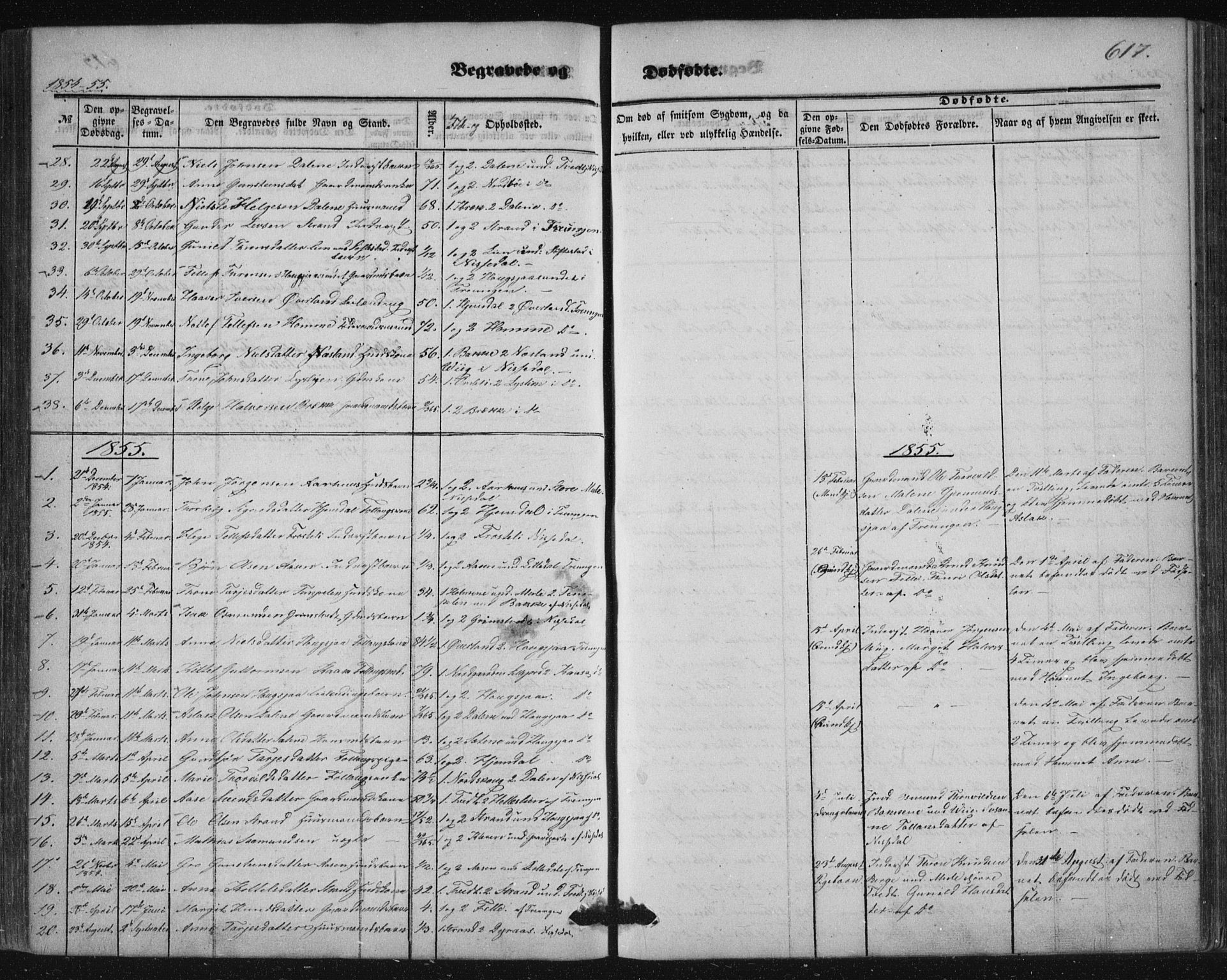 Nissedal kirkebøker, SAKO/A-288/F/Fa/L0003: Parish register (official) no. I 3, 1846-1870, p. 616-617