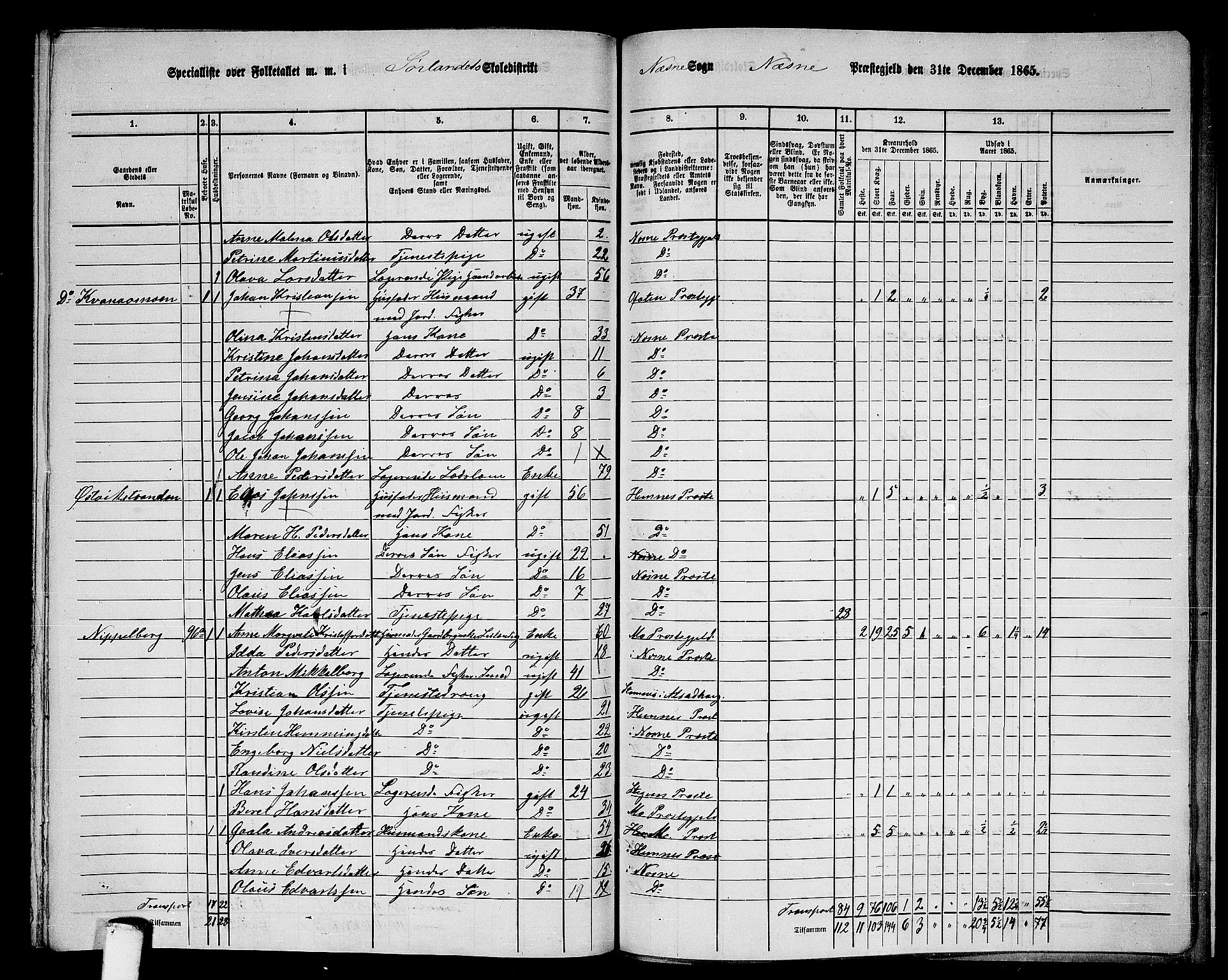 RA, 1865 census for Nesna, 1865, p. 165