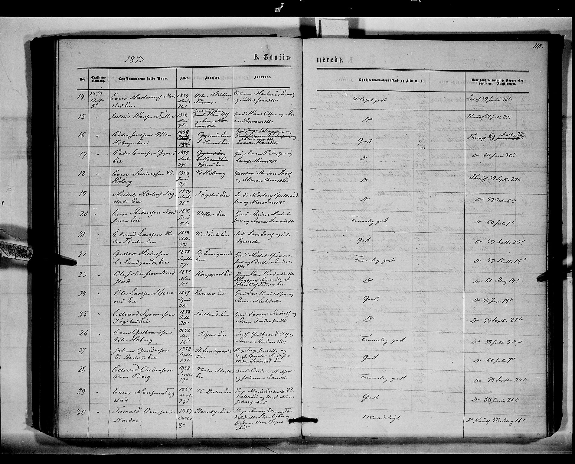 Stange prestekontor, AV/SAH-PREST-002/K/L0015: Parish register (official) no. 15, 1862-1879, p. 110