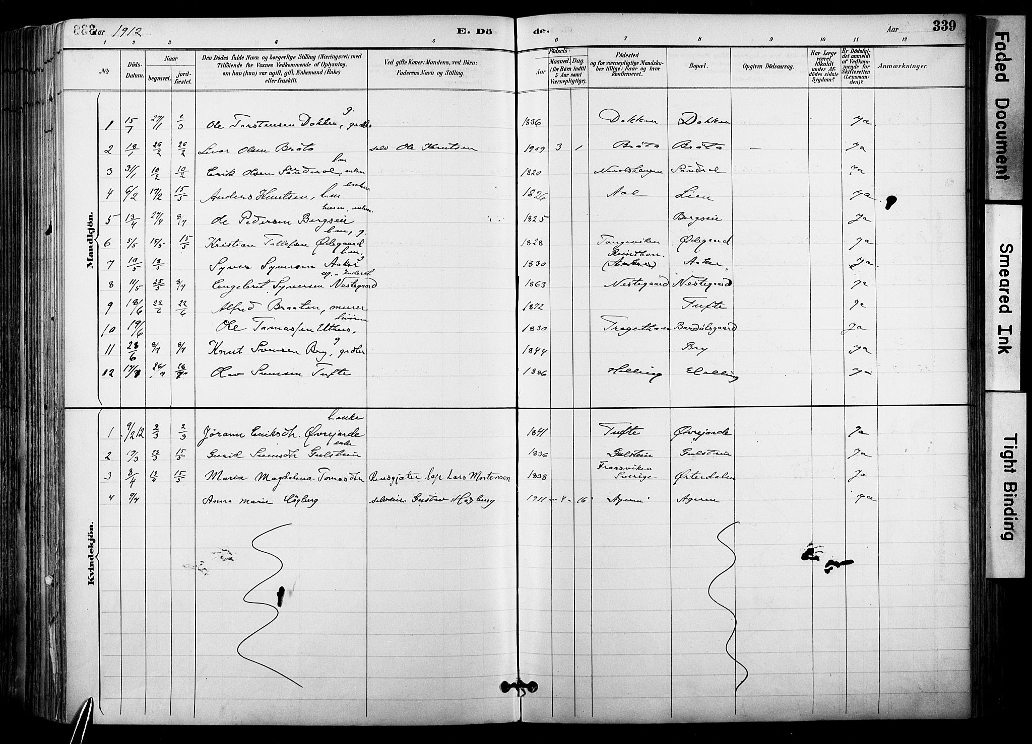 Hol kirkebøker, AV/SAKO-A-227/F/Fa/L0003: Parish register (official) no. I 3, 1887-1918, p. 339