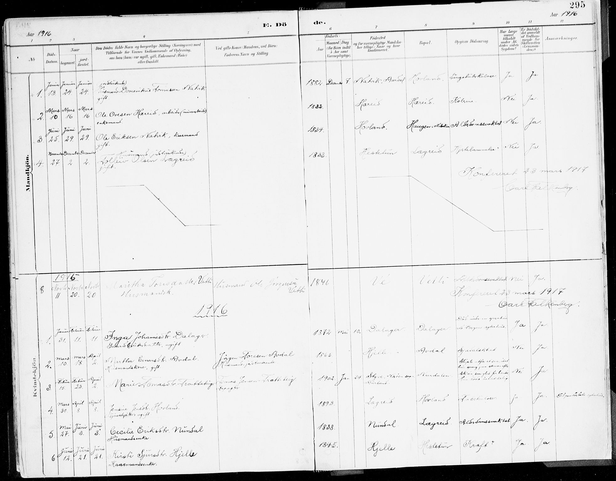 Årdal sokneprestembete, SAB/A-81701: Parish register (official) no. A 5, 1887-1917, p. 295