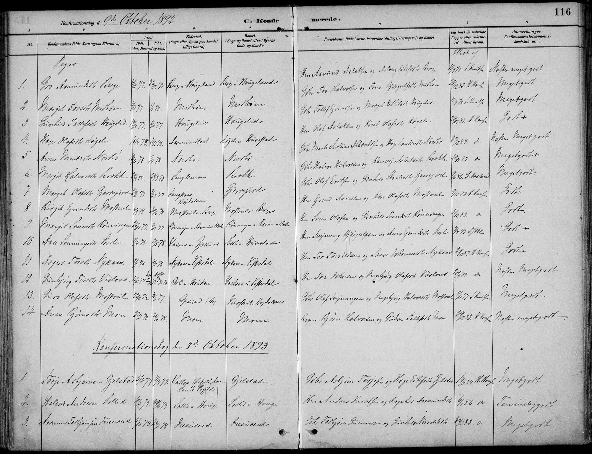 Kviteseid kirkebøker, SAKO/A-276/F/Fb/L0002: Parish register (official) no. II 2, 1882-1916, p. 116