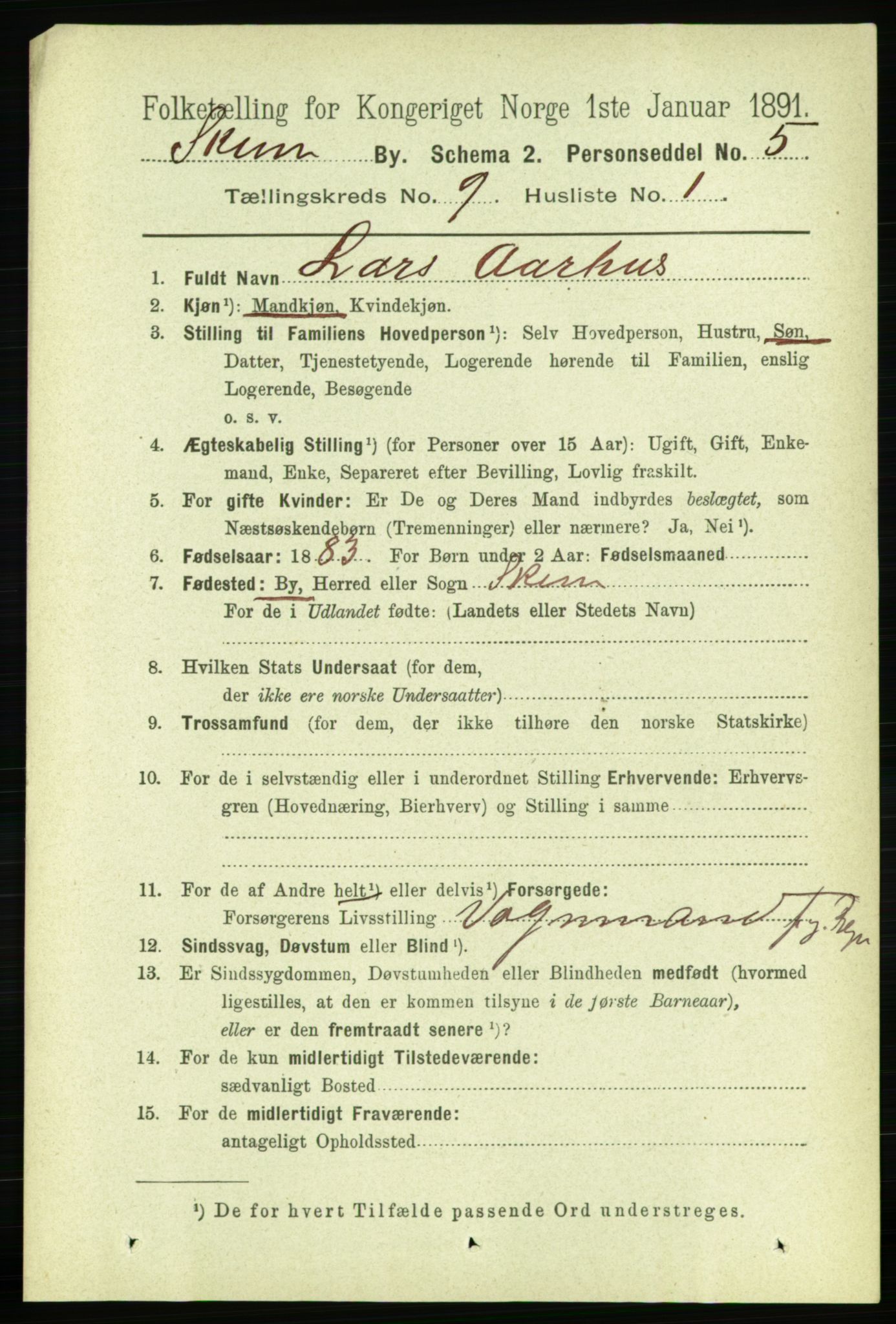 RA, 1891 census for 0806 Skien, 1891, p. 3521