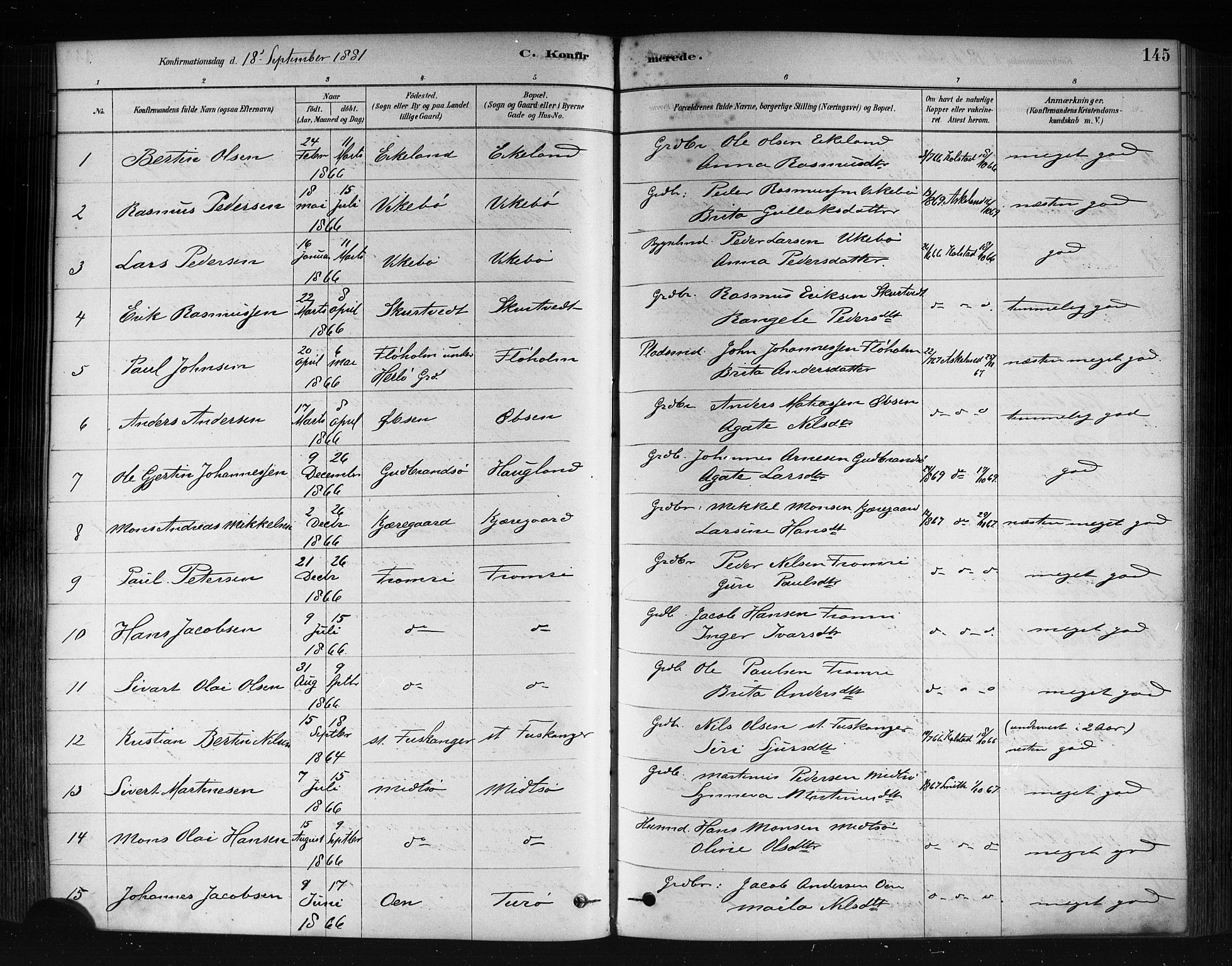 Herdla Sokneprestembete, AV/SAB-A-75701/H/Haa: Parish register (official) no. A 3, 1878-1890, p. 145