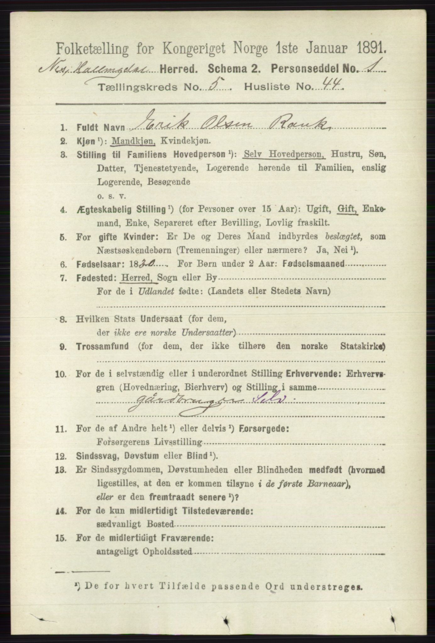 RA, 1891 census for 0616 Nes, 1891, p. 2867