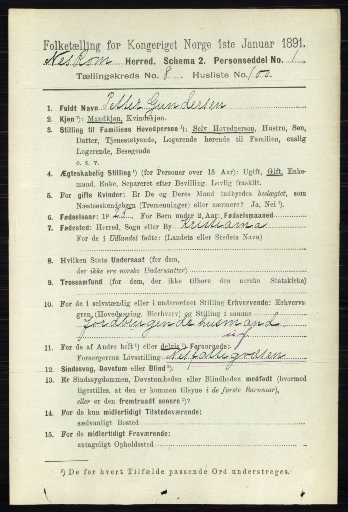 RA, 1891 census for 0236 Nes, 1891, p. 5183